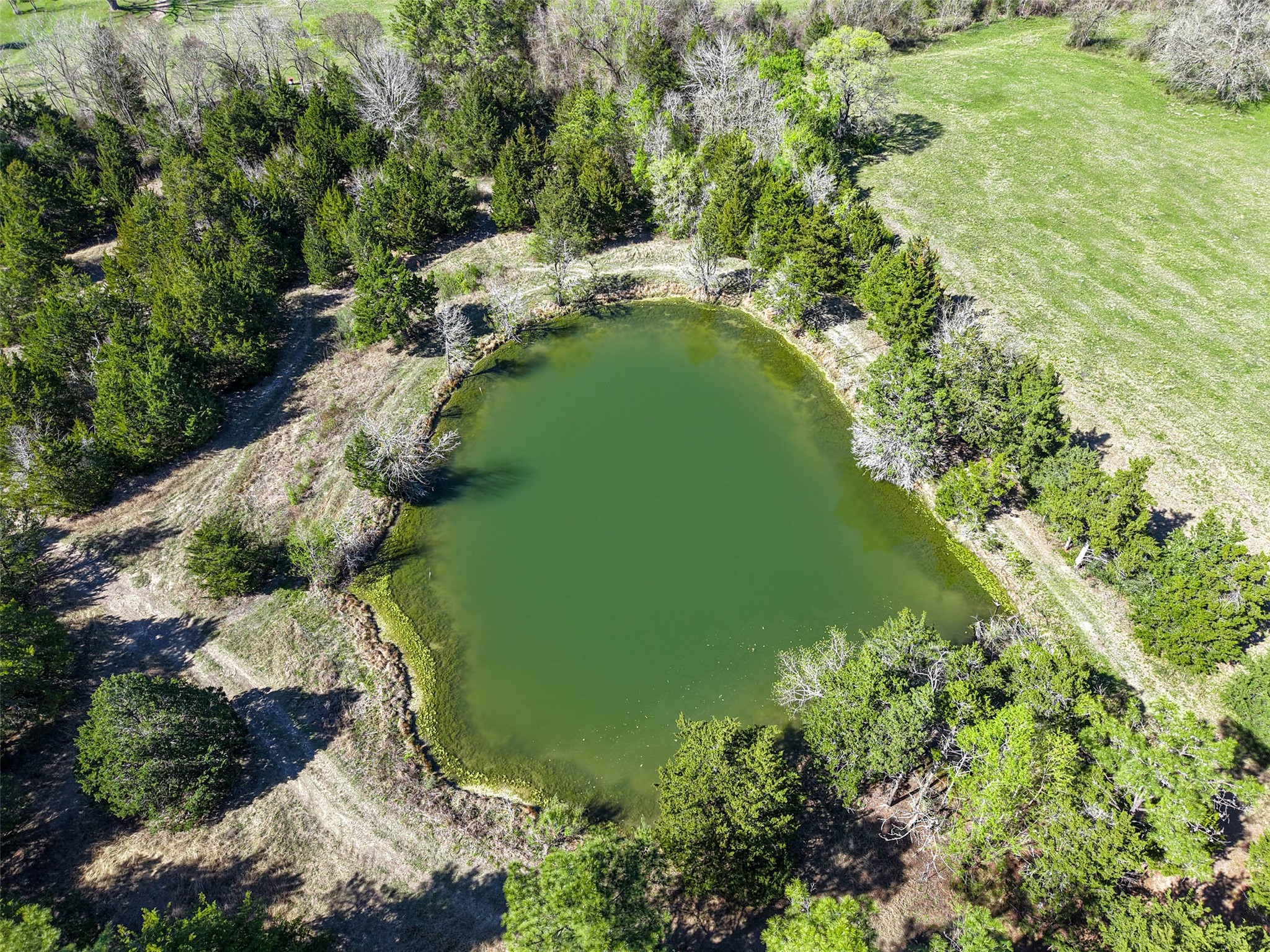 7120 Fm 2819 Anderson TX 77830