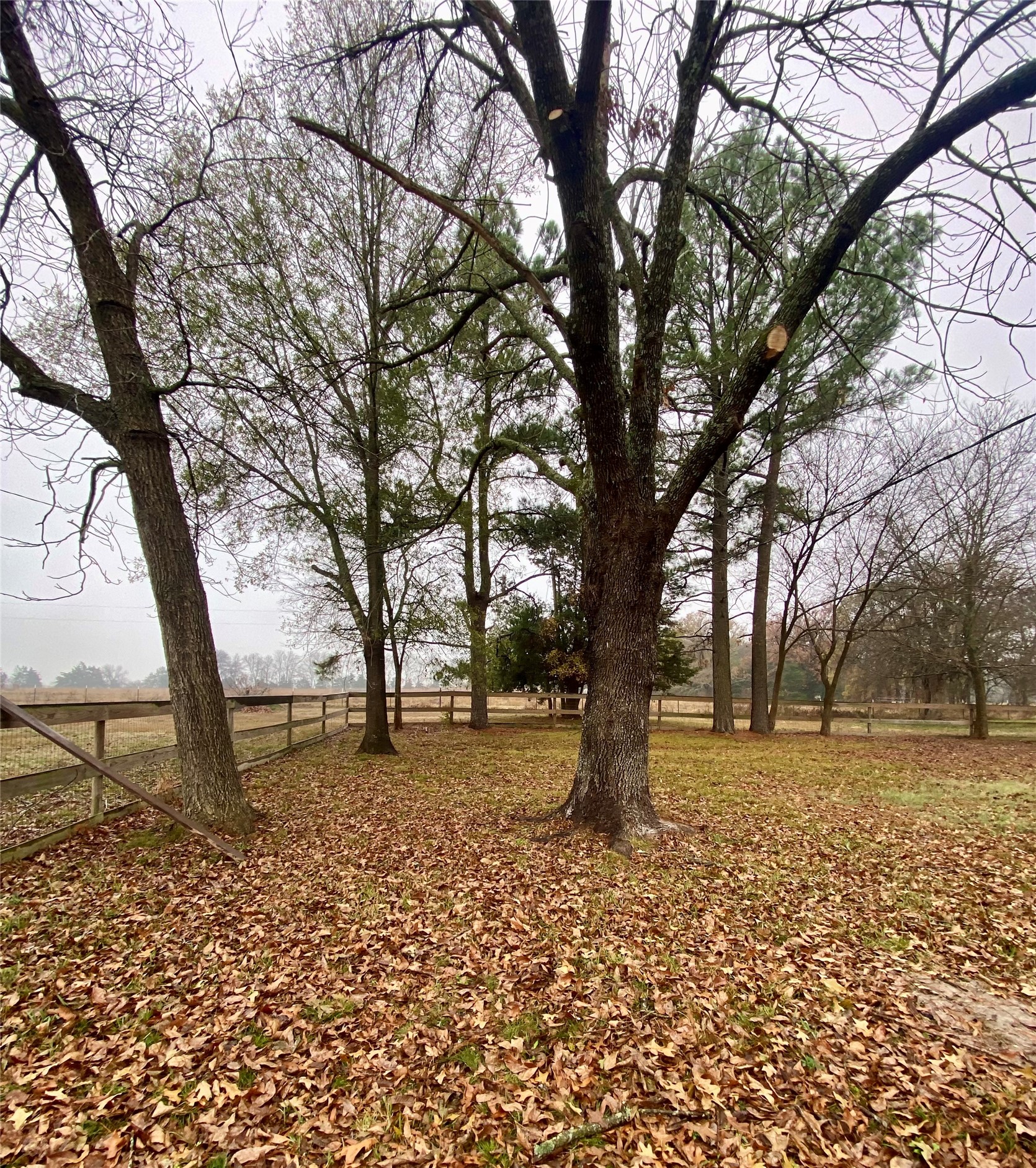 253 Cr 14750 Paris TX 75462