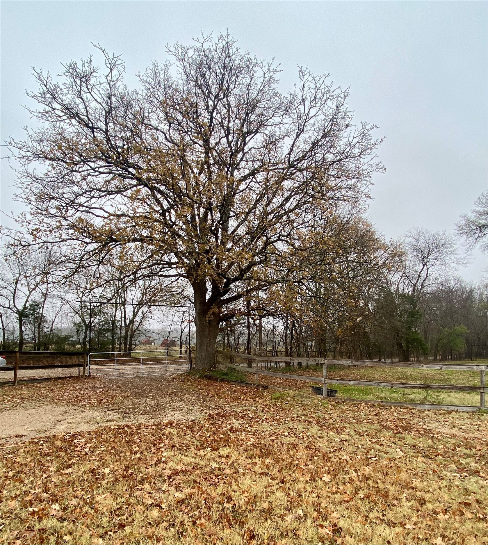 253 Cr 14750 Paris TX 75462