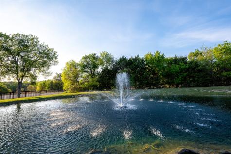 254 Maral Lane Azle TX 76020