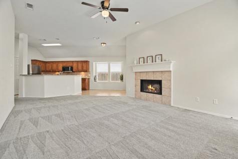 3921 Iris Court Mckinney TX 75070