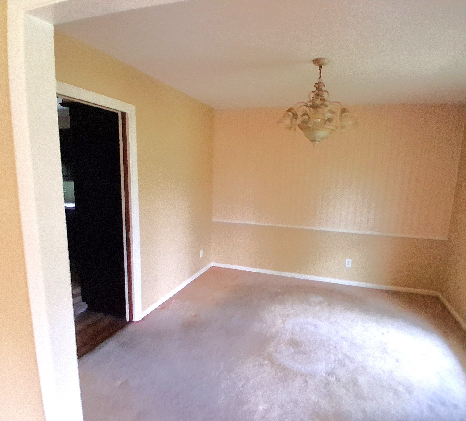 901 Bluebird Lane Wake Village TX 75501