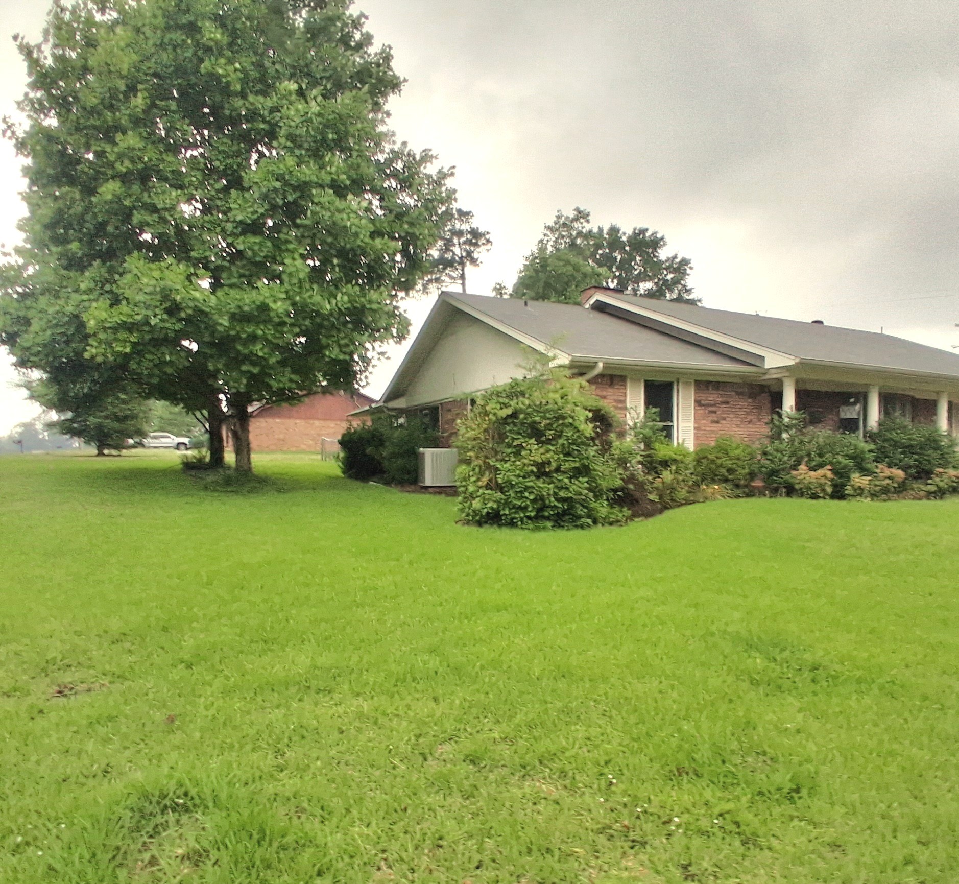 901 Bluebird Lane Wake Village TX 75501