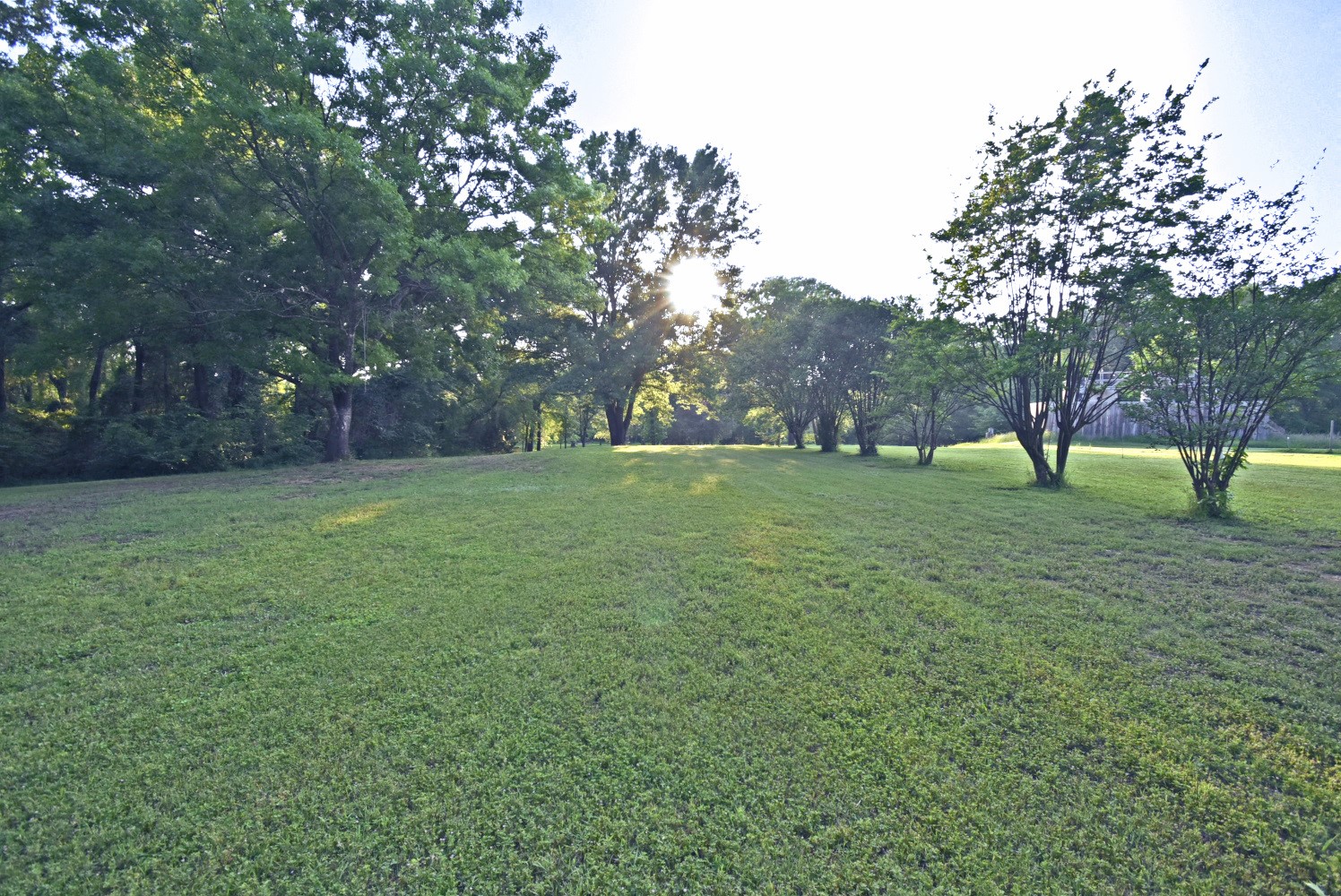 1489 County Road 1858 Yantis TX 75497