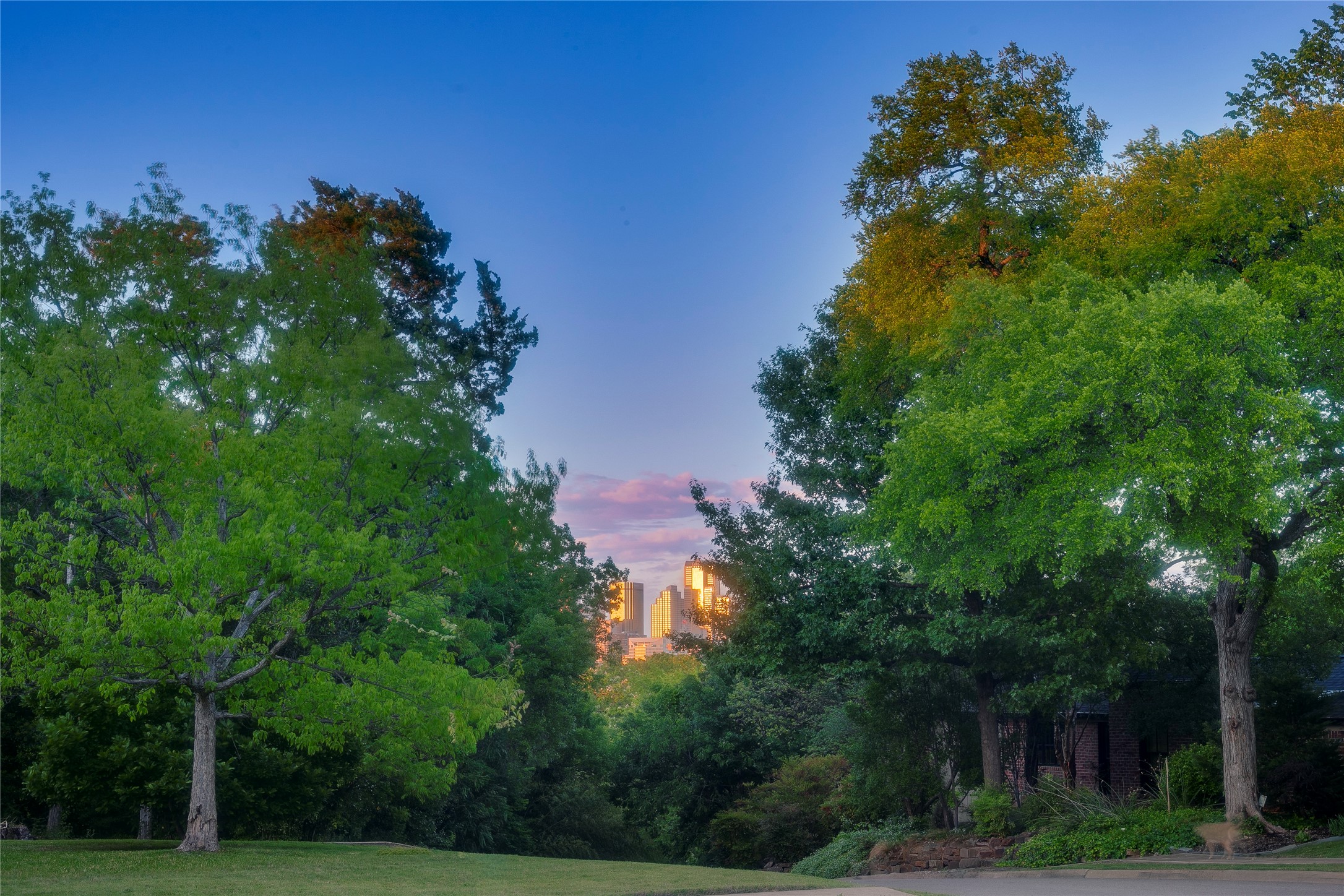 1439 Junior Drive Dallas TX 75208