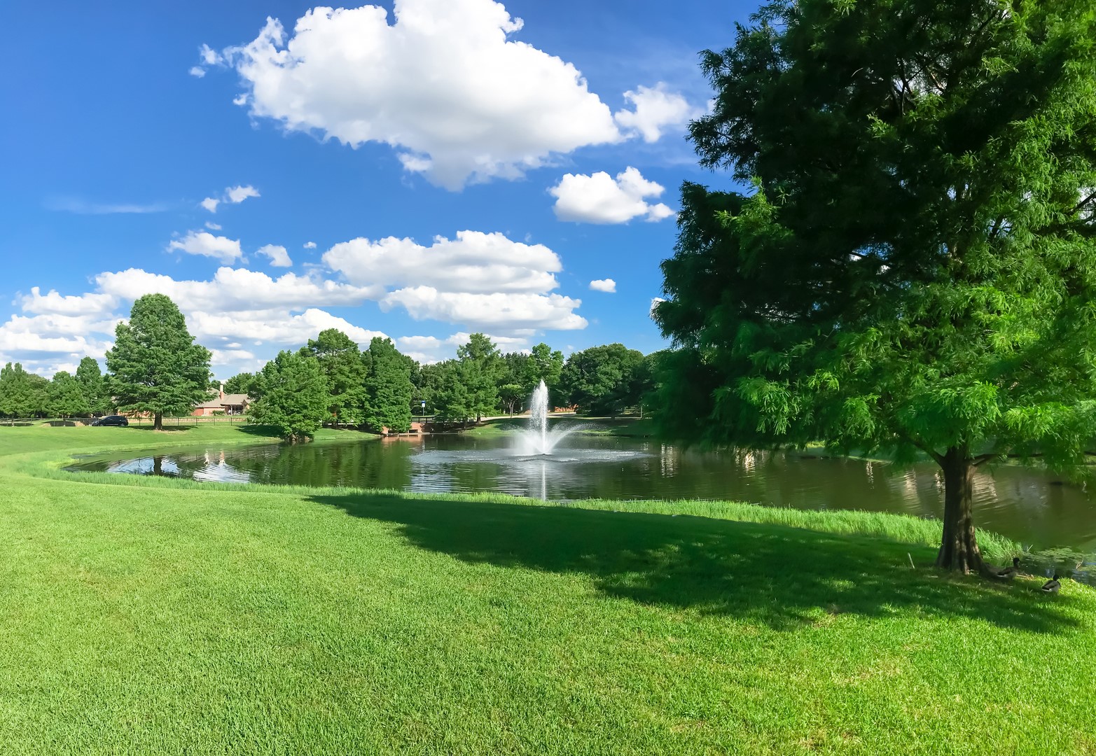 225 Ravenna Boulevard Justin TX 76247