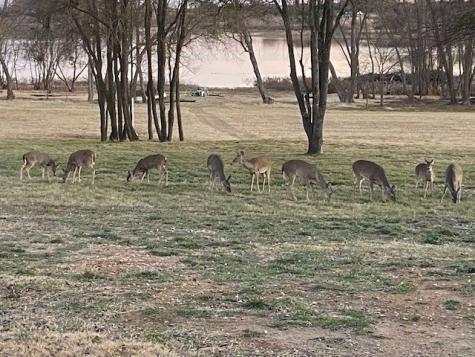 365 Mercers Preserve Road Comanche TX 76442
