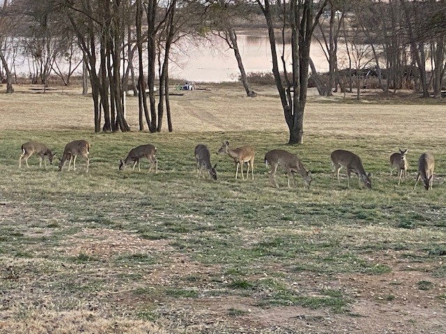 365 Mercers Preserve Road Comanche TX 76442