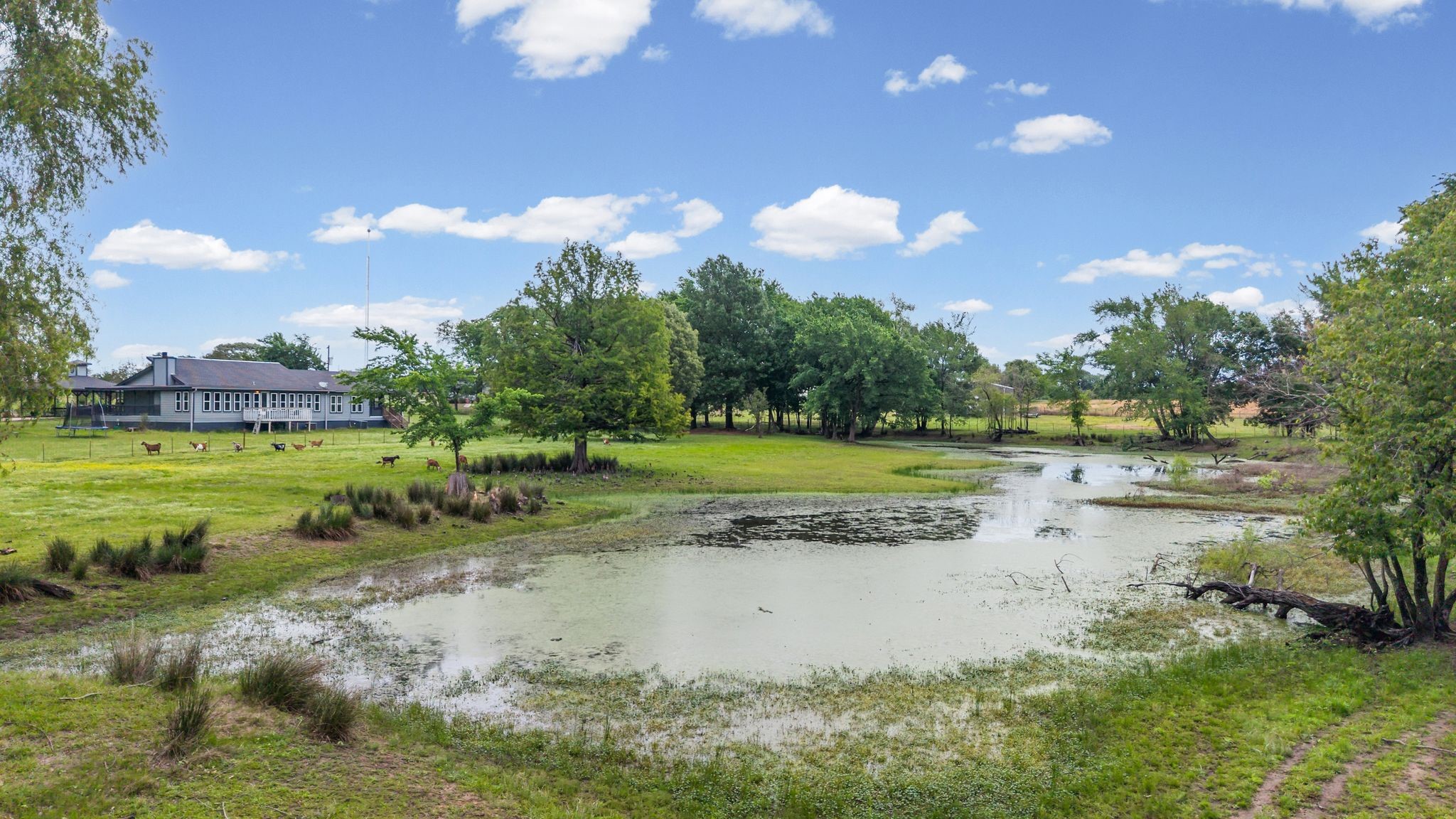 451 Vz County Road 1118 Grand Saline TX 75140