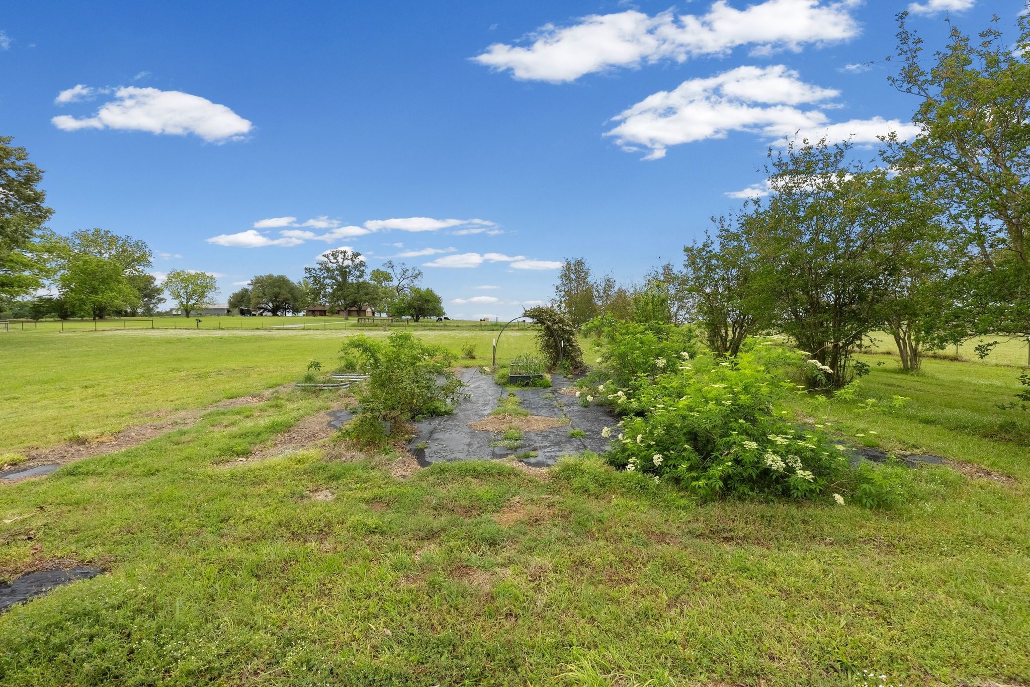 451 Vz County Road 1118 Grand Saline TX 75140