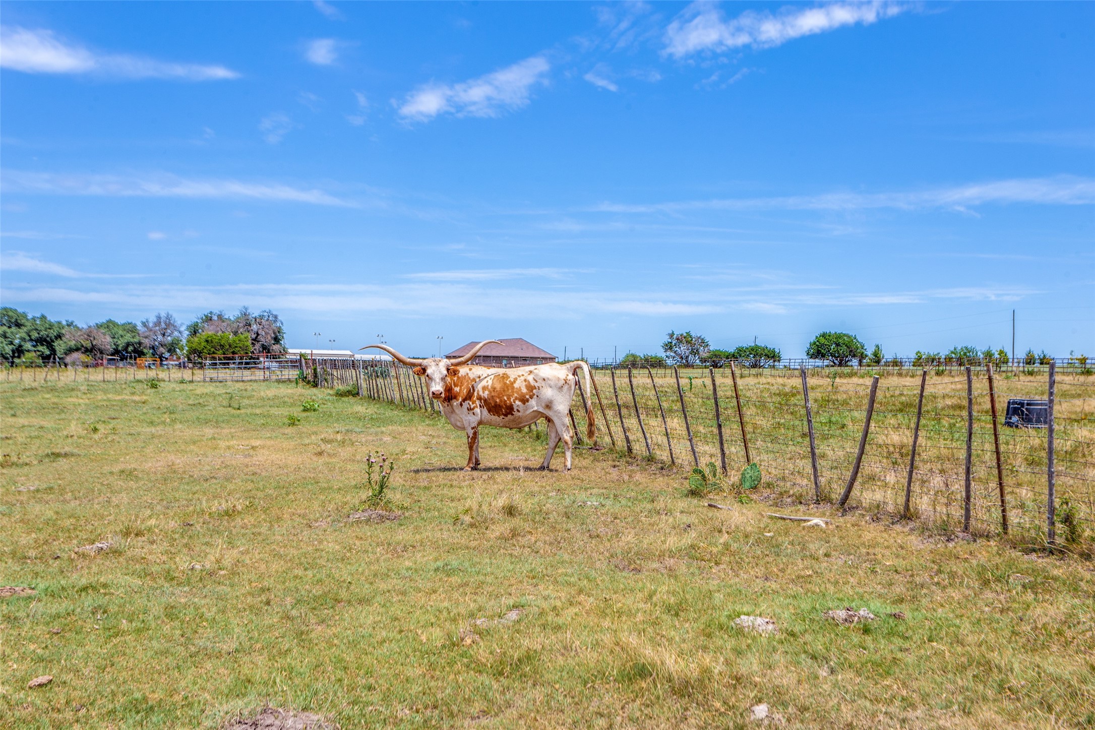 950 Johnson Bend Road Weatherford TX 76088