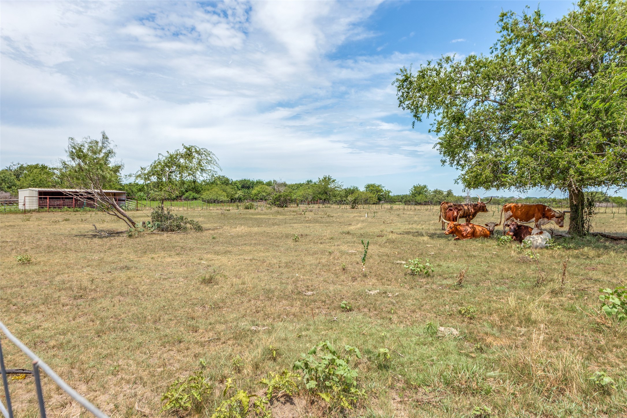 950 Johnson Bend Road Weatherford TX 76088