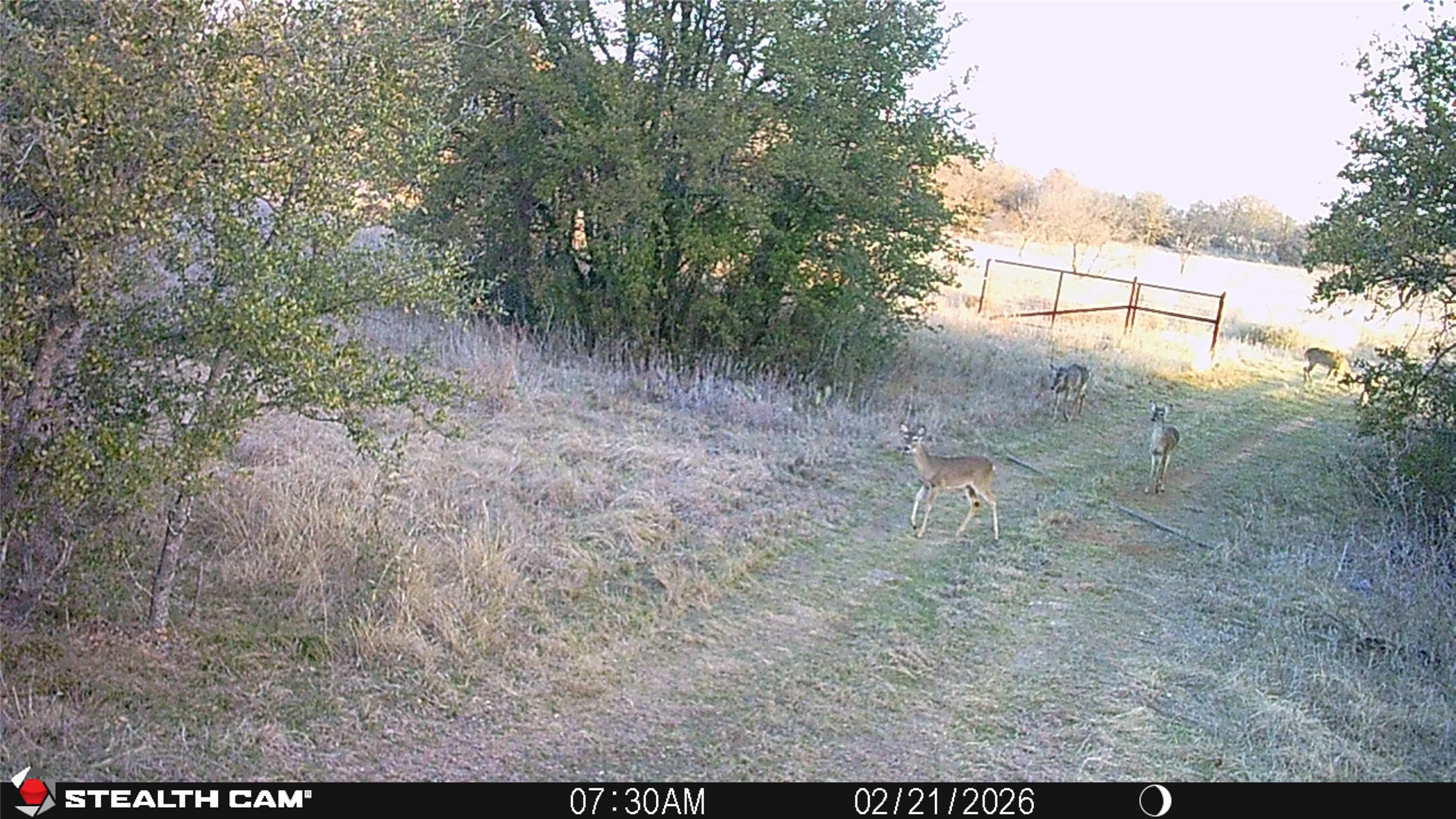 2387 County Road 321 Gorman TX 76454