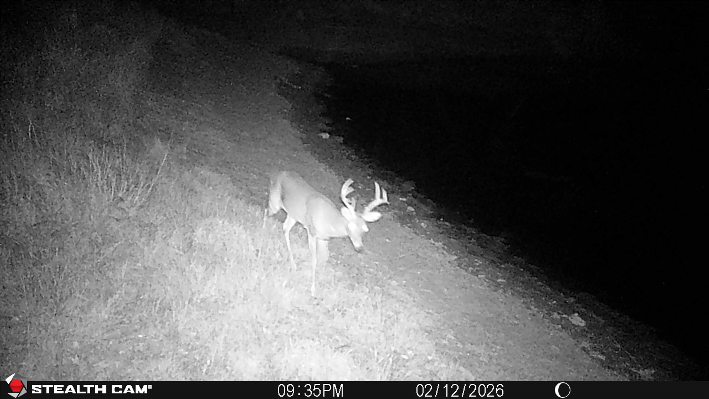 2387 County Road 321 Gorman TX 76454