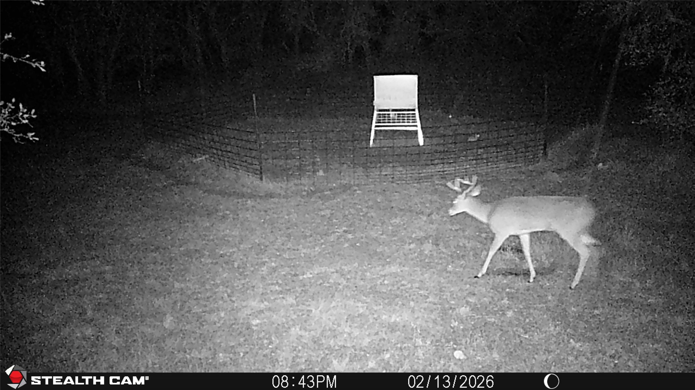 2387 County Road 321 Gorman TX 76454