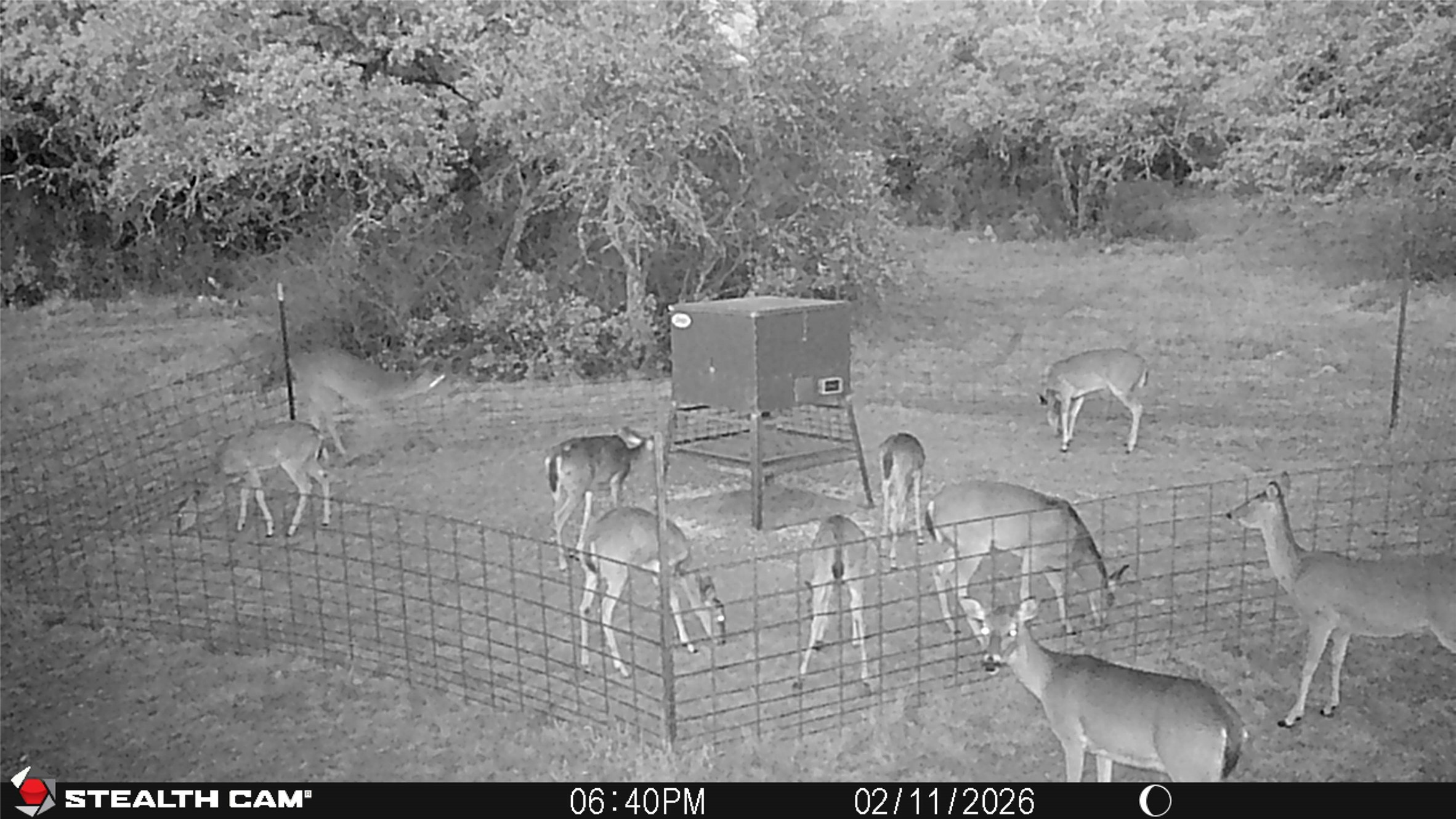 2387 County Road 321 Gorman TX 76454