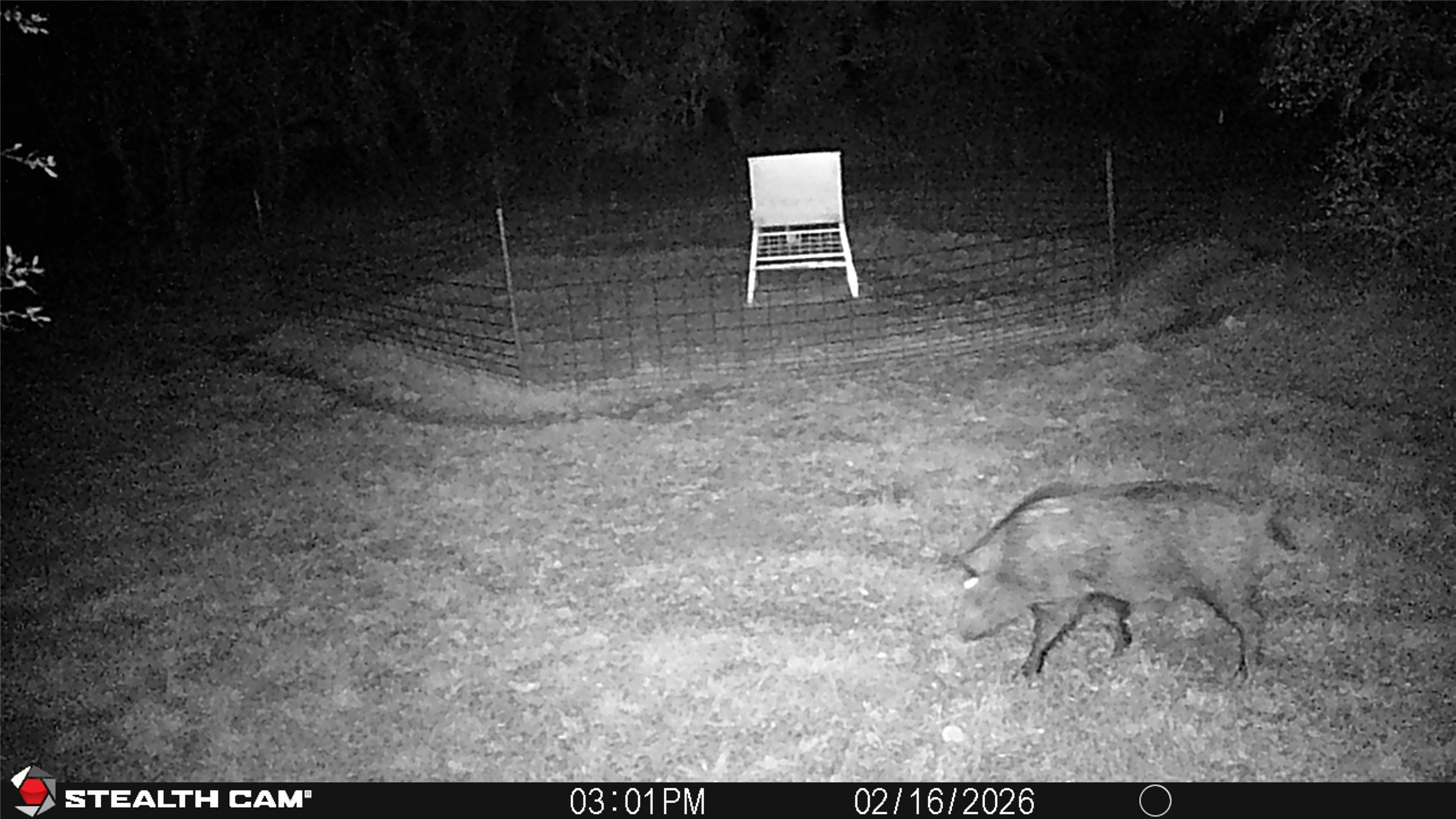 2387 County Road 321 Gorman TX 76454