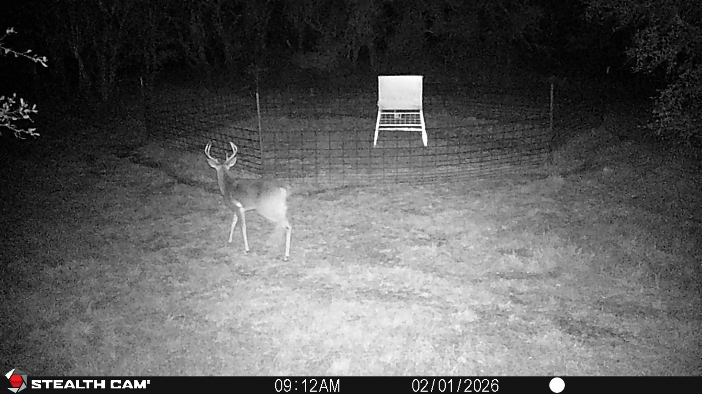 2387 County Road 321 Gorman TX 76454