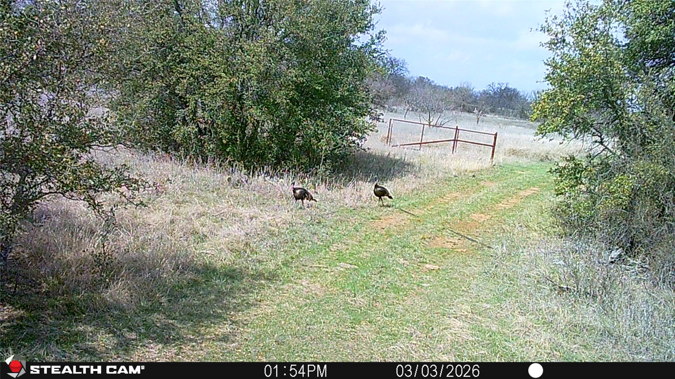 2387 County Road 321 Gorman TX 76454