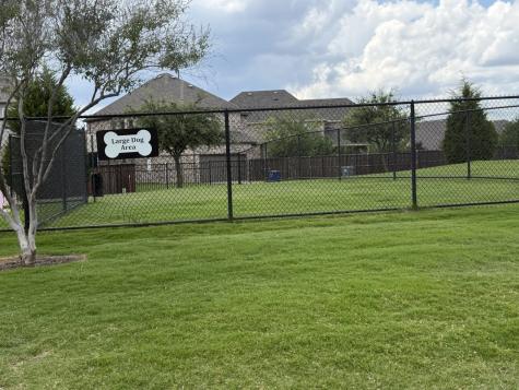 8249 Abellia Court Dallas TX 75252