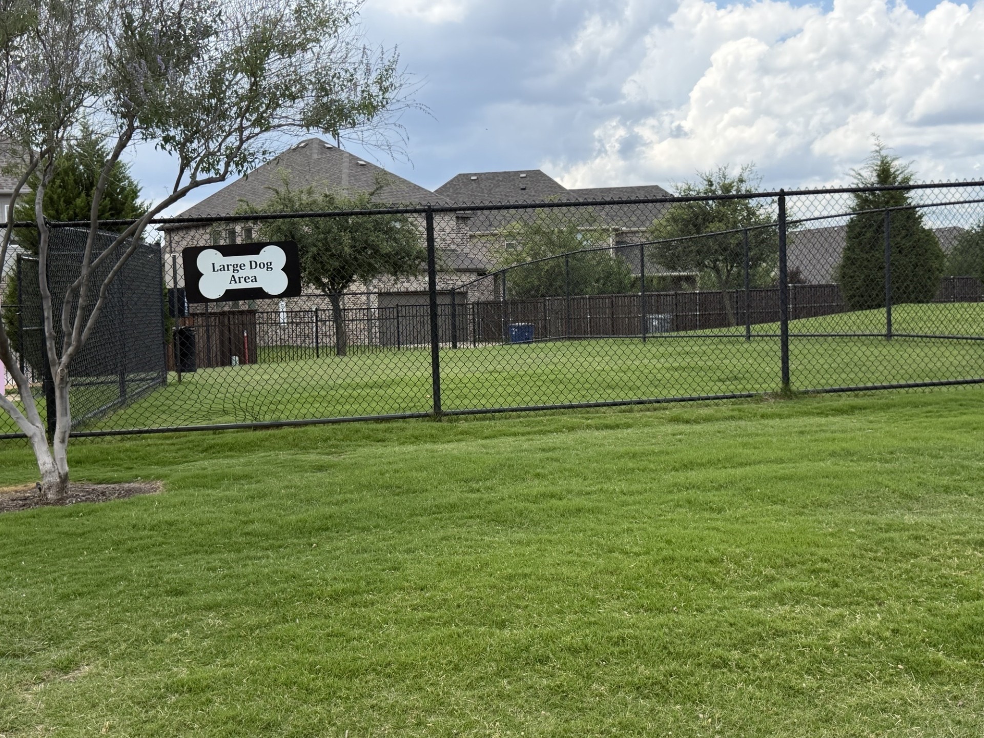 8249 Abellia Court Dallas TX 75252