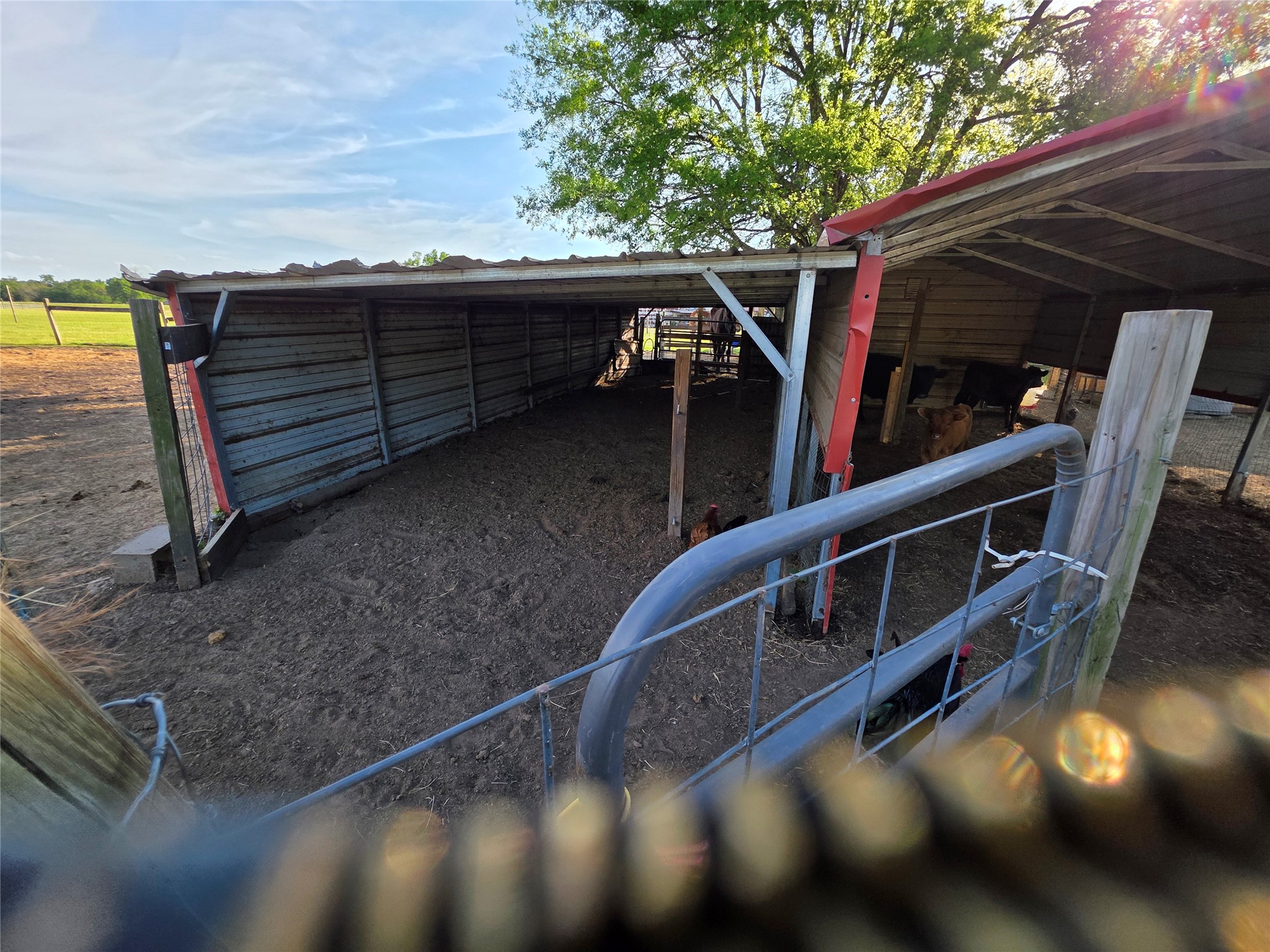 550 Rs County Road 3425 Emory TX 75440