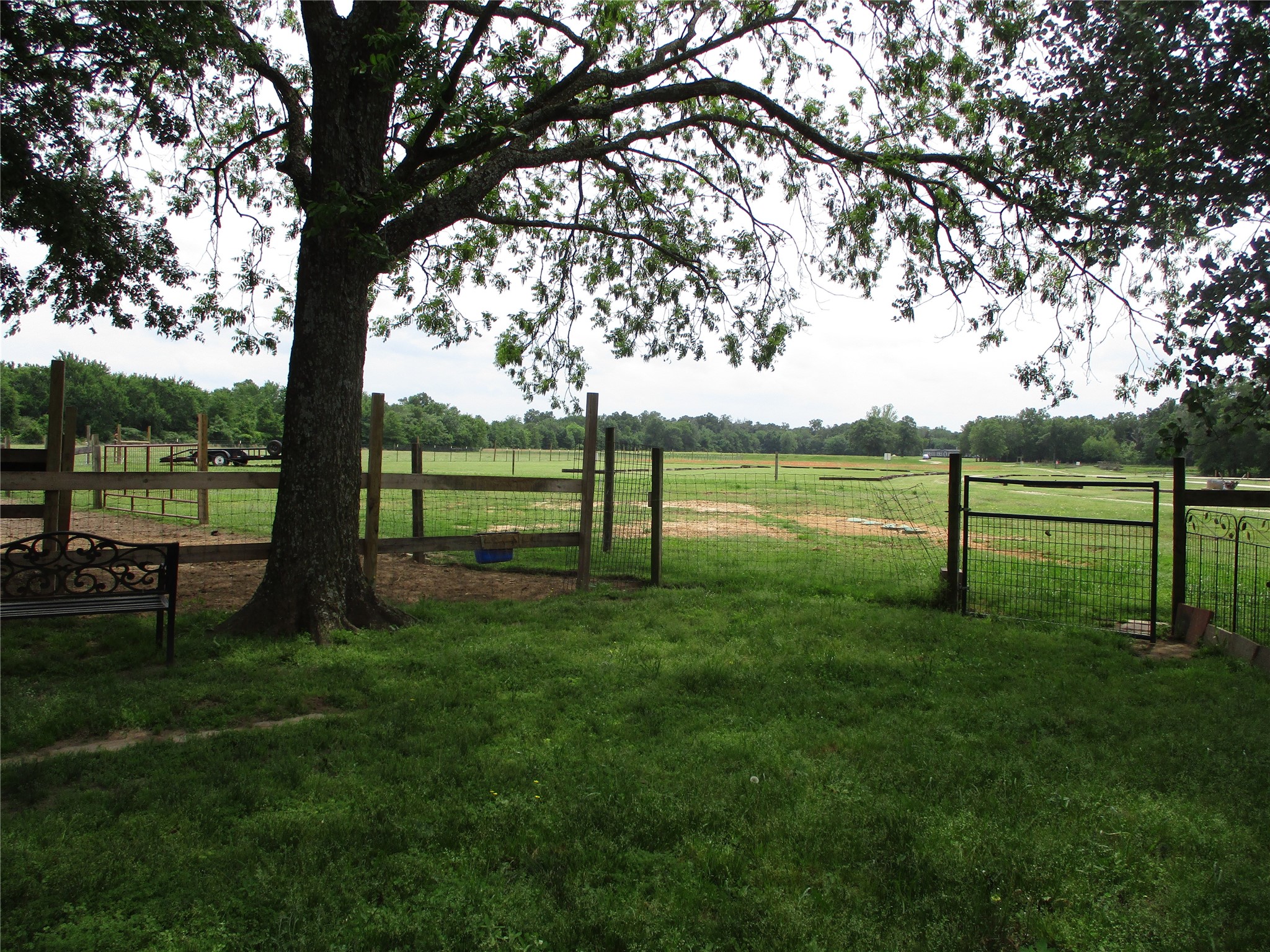 550 Rs County Road 3425 Emory TX 75440