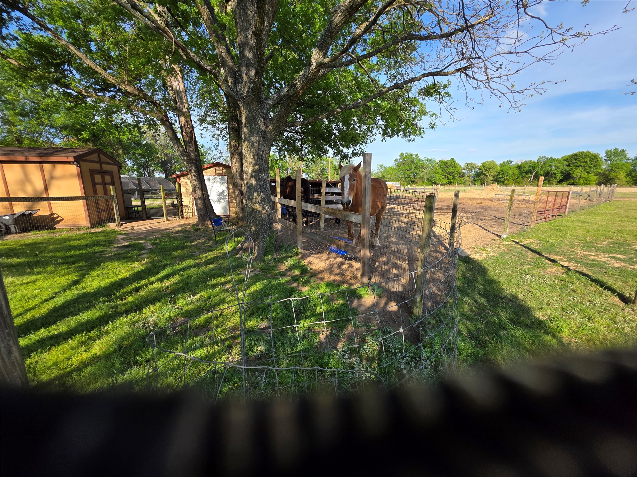 550 Rs County Road 3425 Emory TX 75440