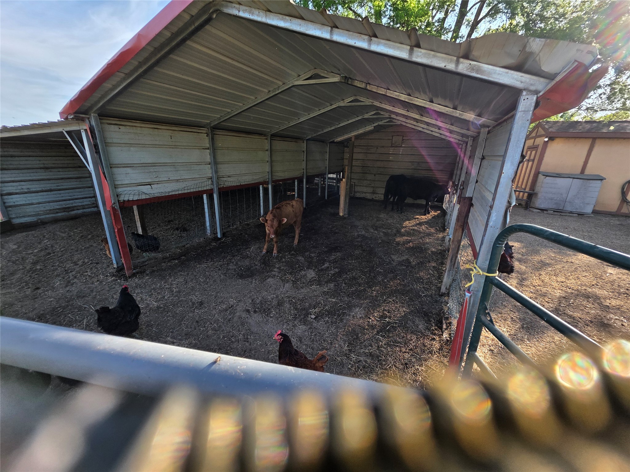 550 Rs County Road 3425 Emory TX 75440