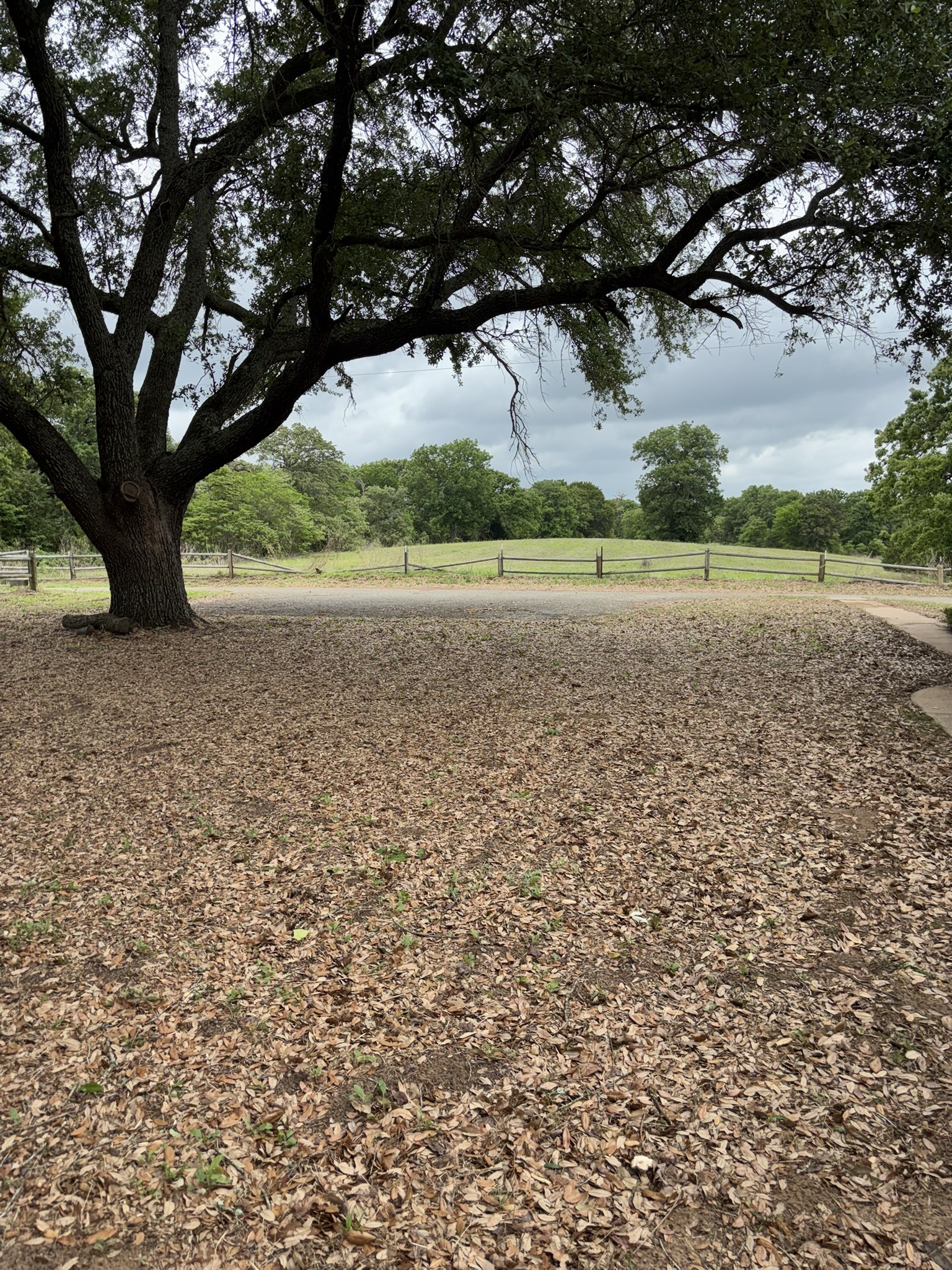 14070 County Road 3520 Brownsboro TX 75756
