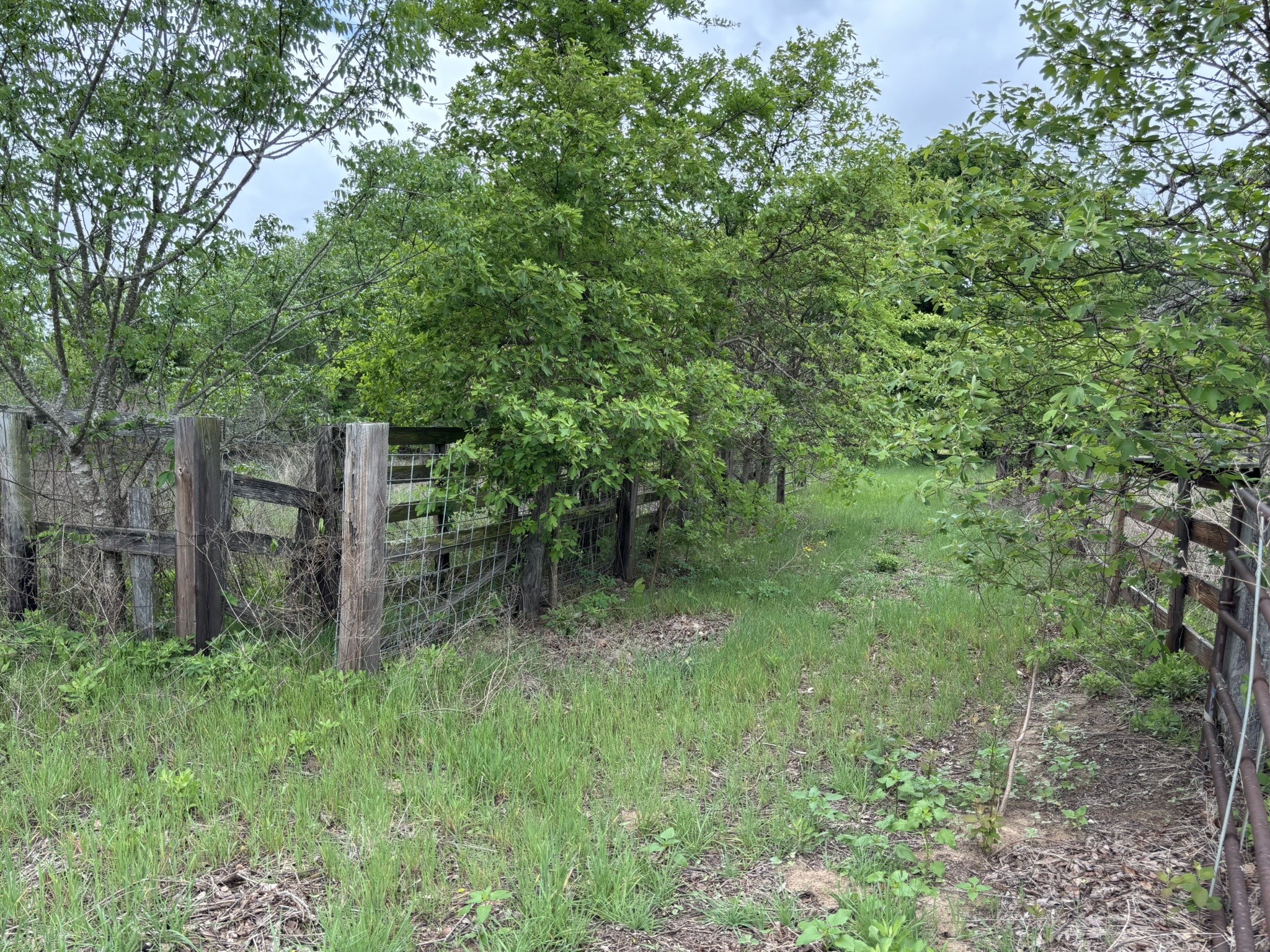 14070 County Road 3520 Brownsboro TX 75756