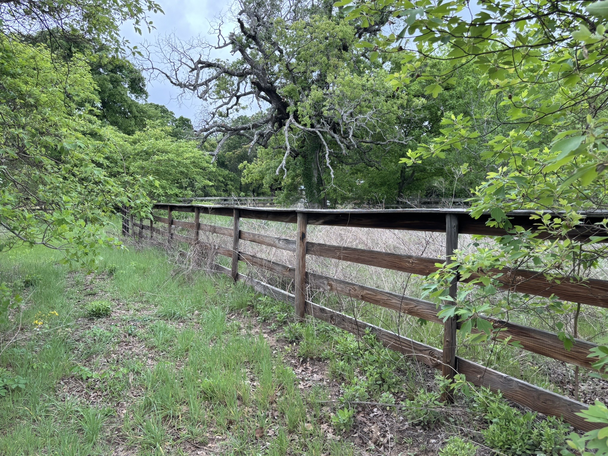 14070 County Road 3520 Brownsboro TX 75756
