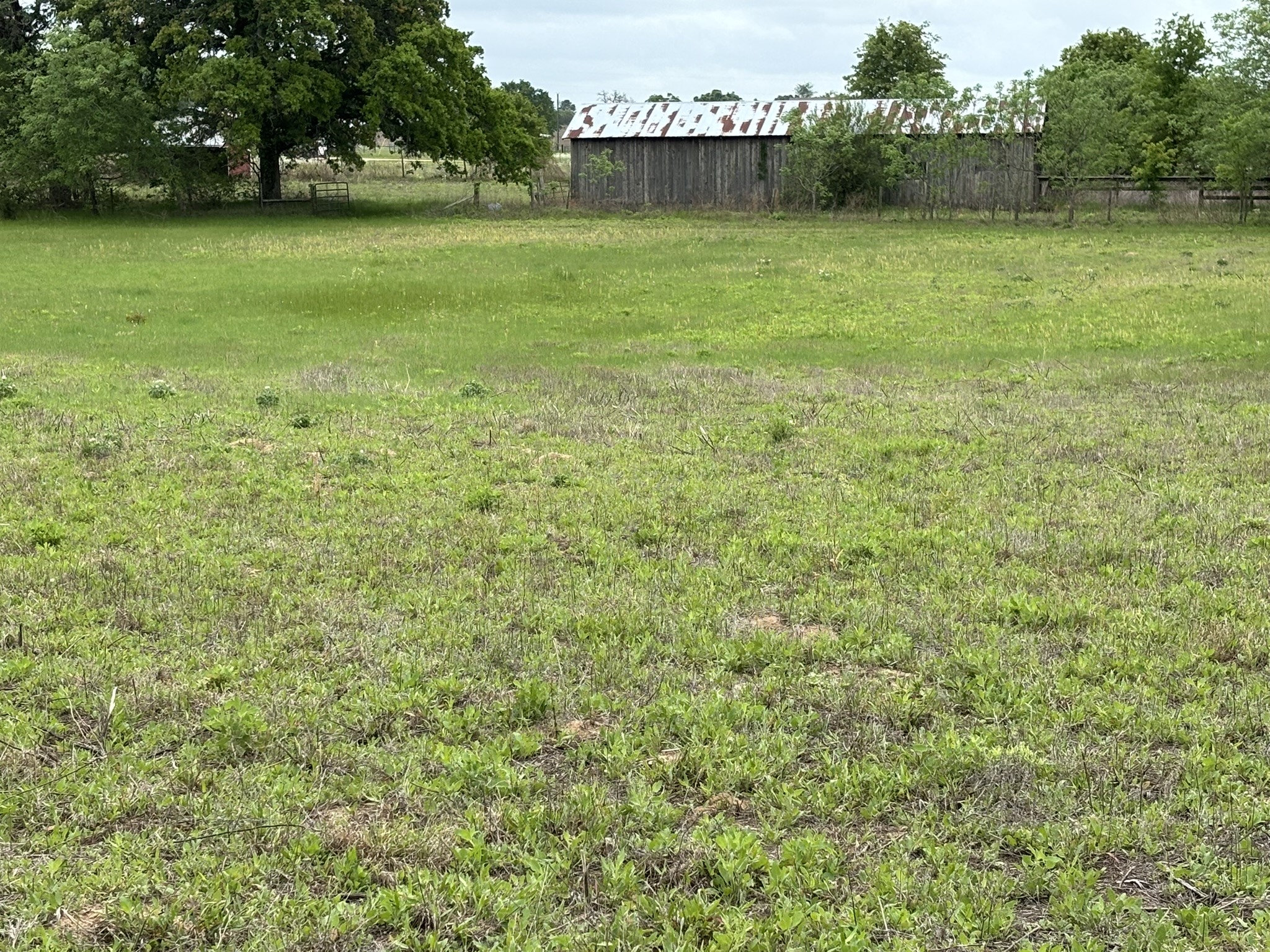 14070 County Road 3520 Brownsboro TX 75756