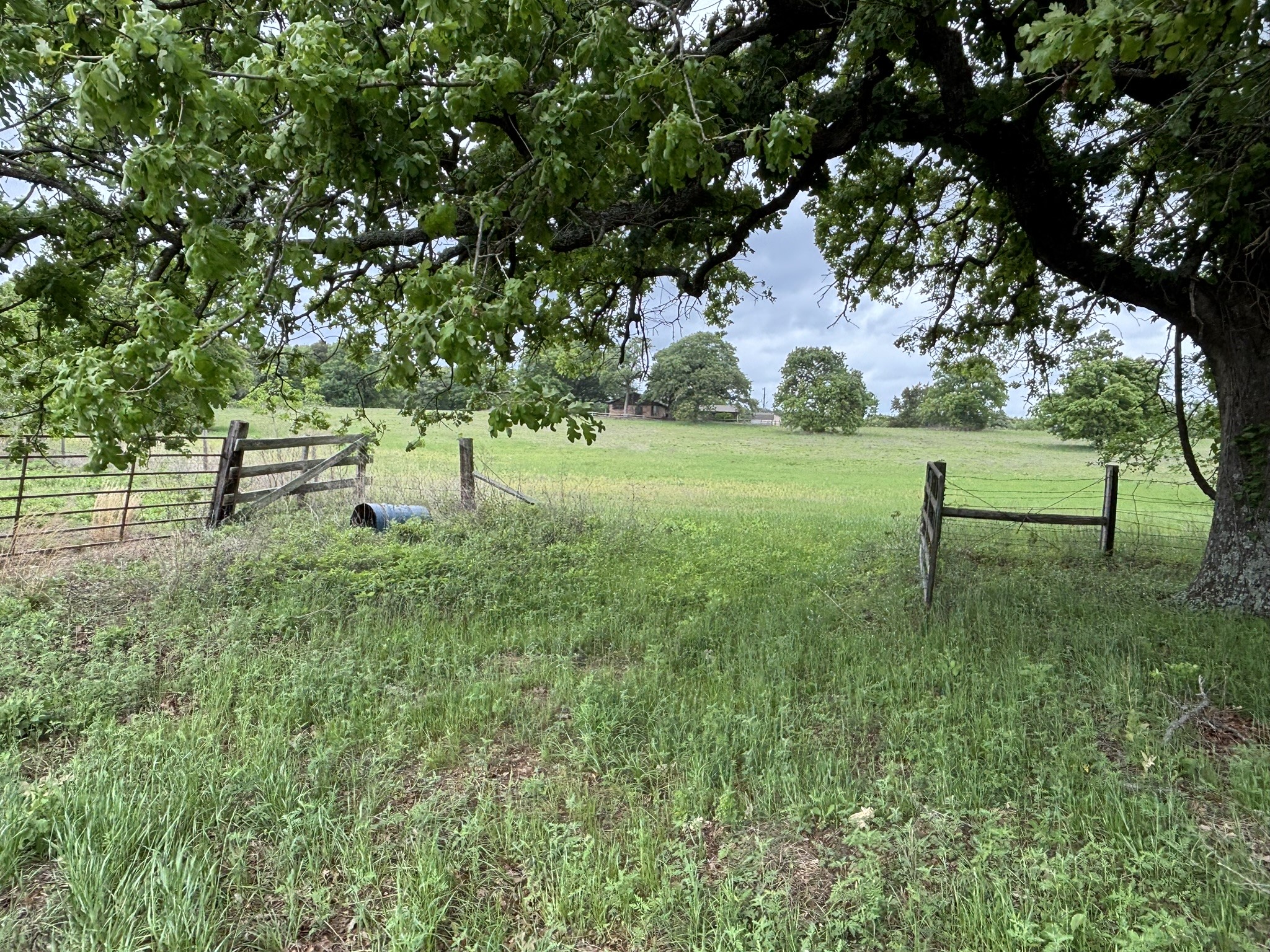 14070 County Road 3520 Brownsboro TX 75756