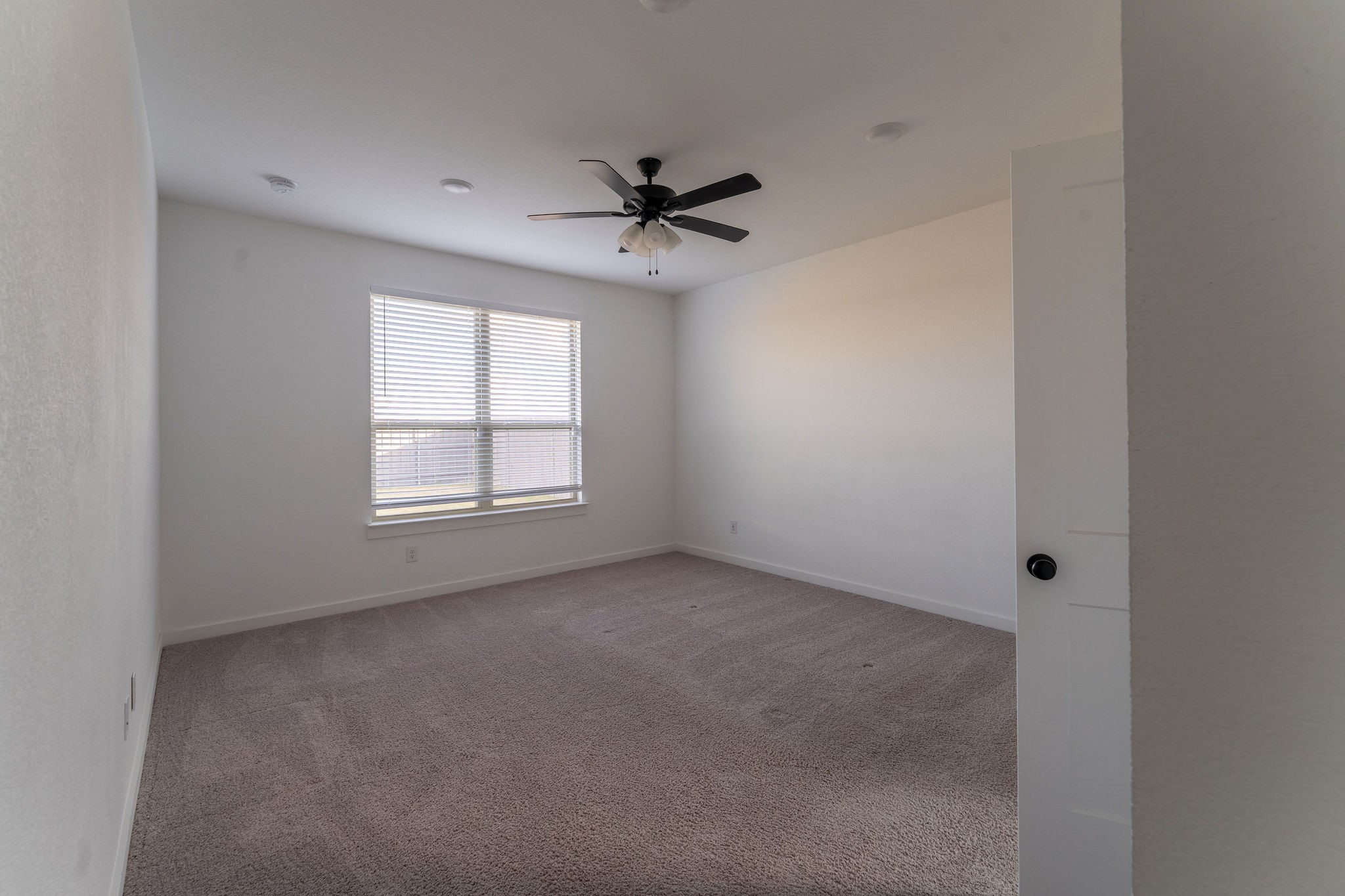 7518 Wild Mint Trail Venus TX 76084