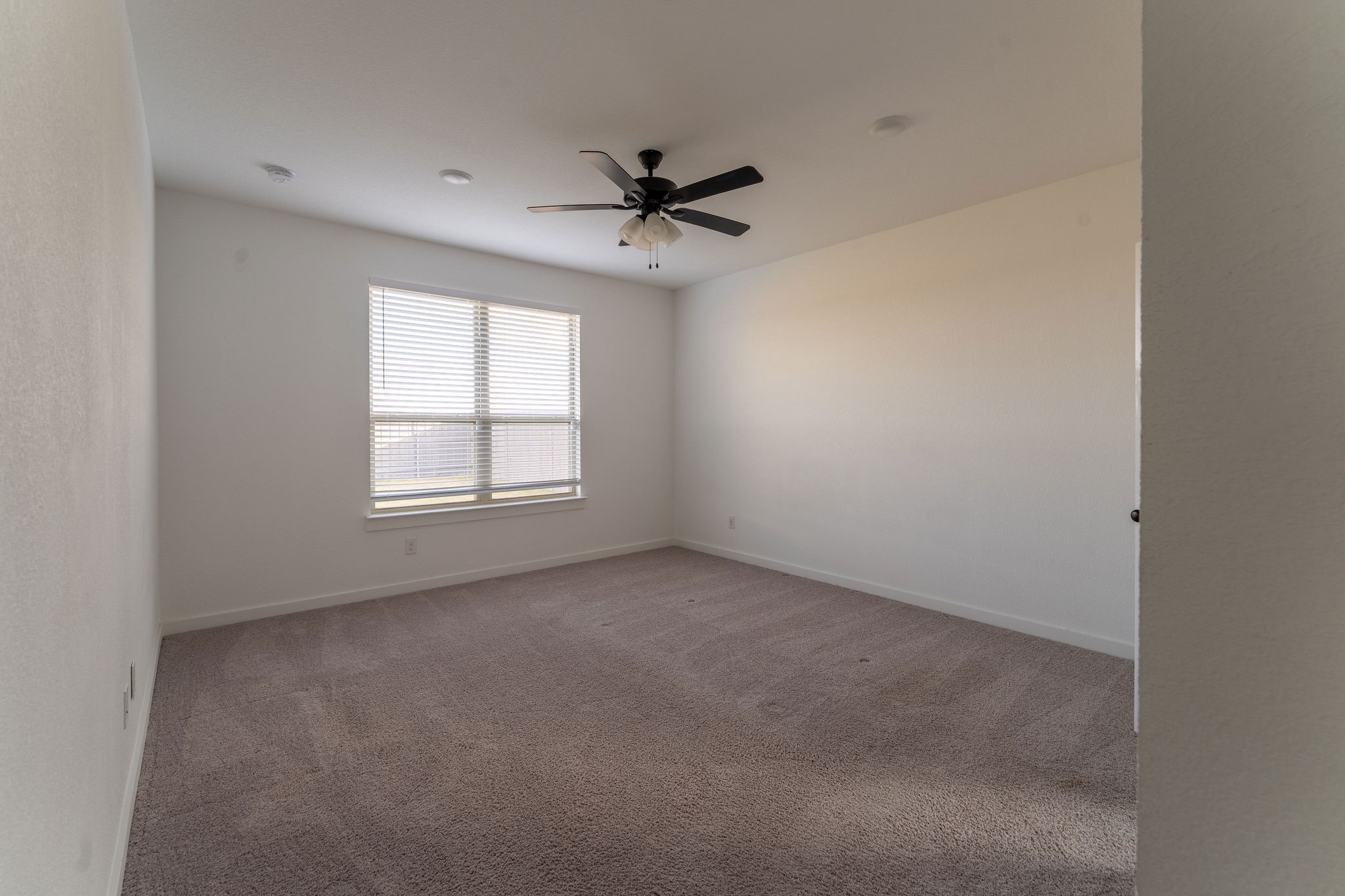 7518 Wild Mint Trail Venus TX 76084