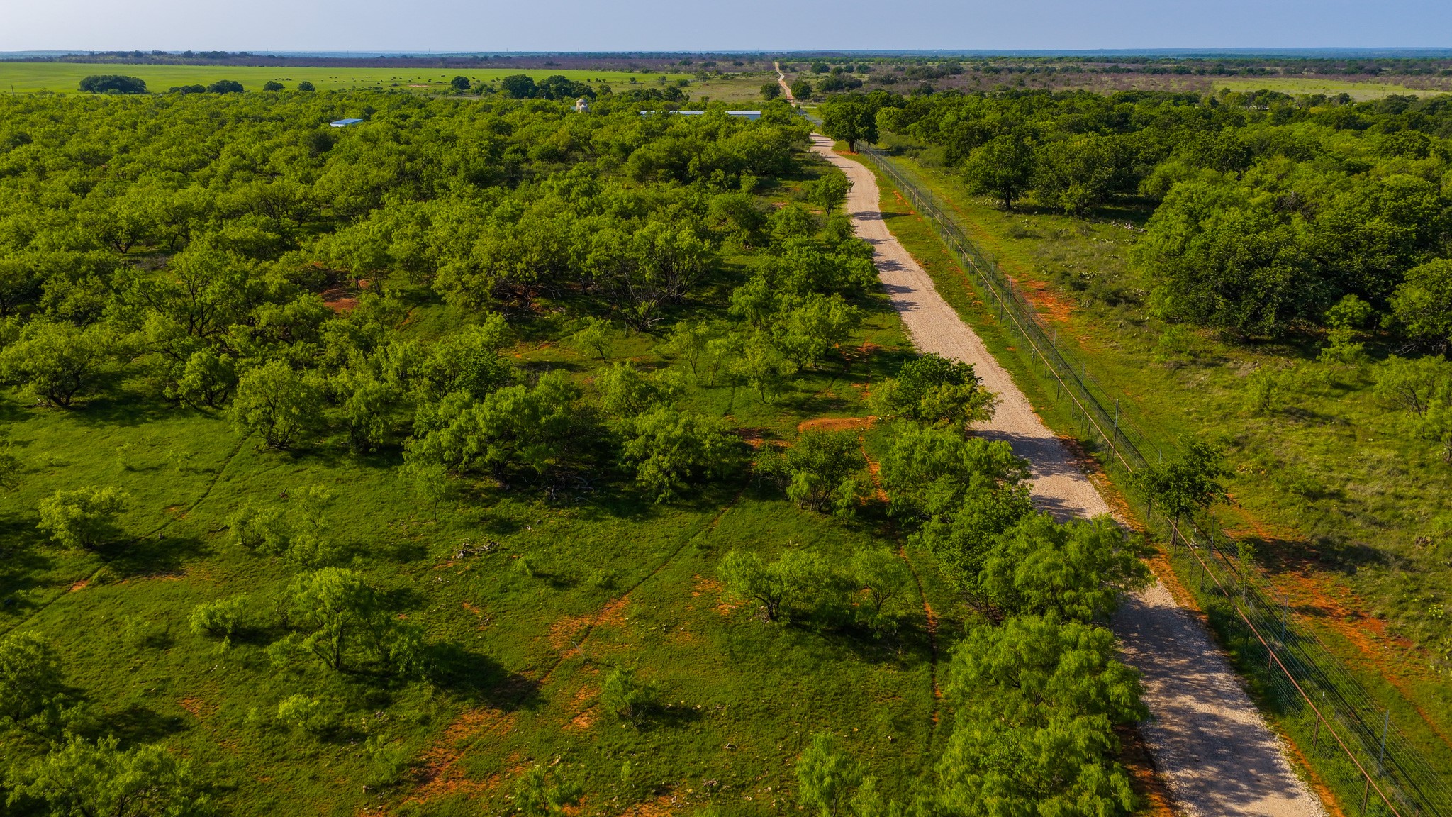 10000 Fm 209 Graham TX 76450