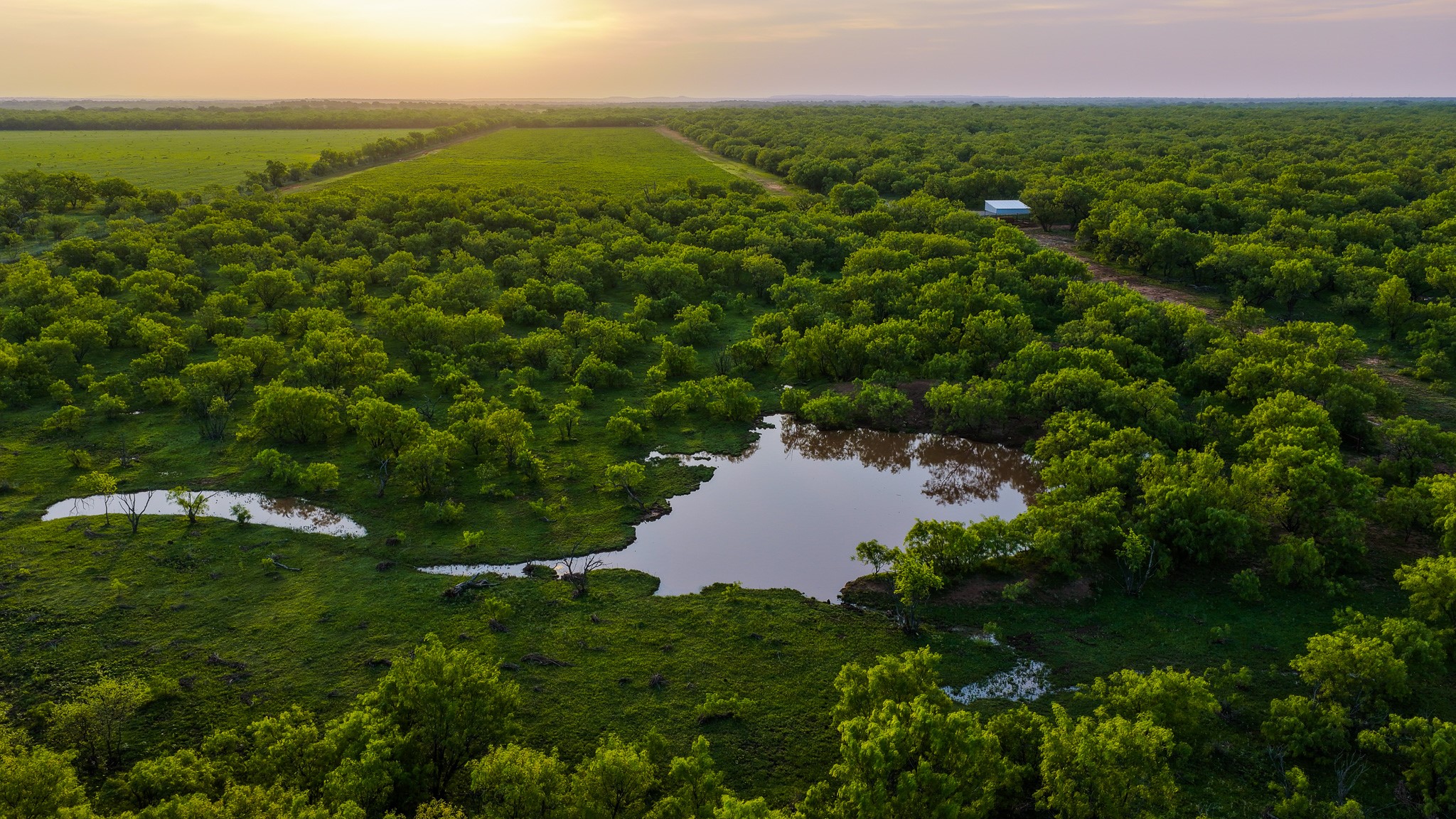 10000 Fm 209 Graham TX 76450