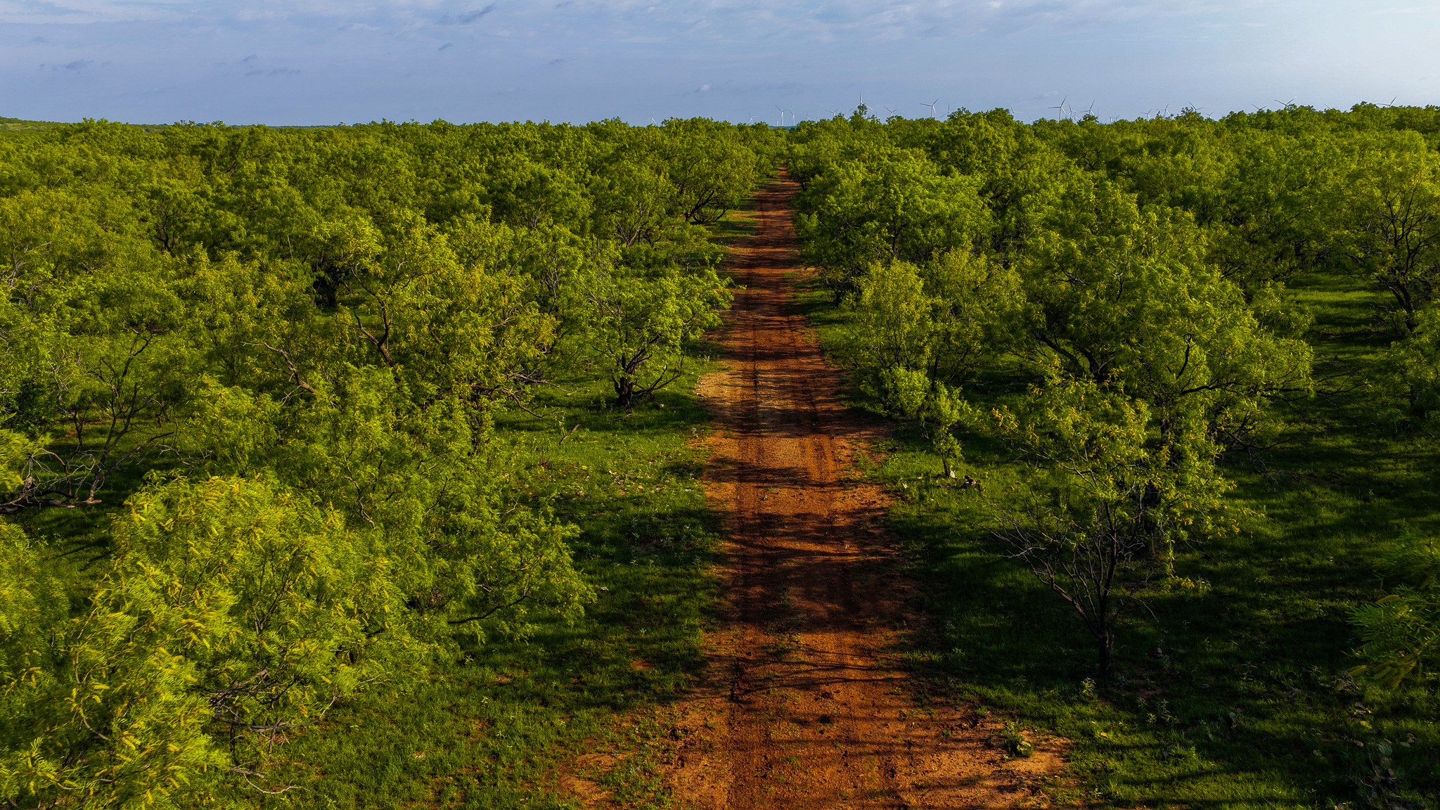 10000 Fm 209 Graham TX 76450