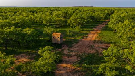10000 Fm 209 Graham TX 76450