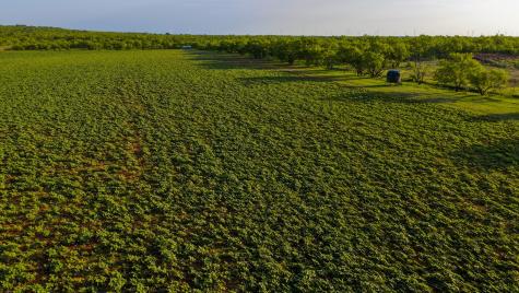 10000 Fm 209 Graham TX 76450