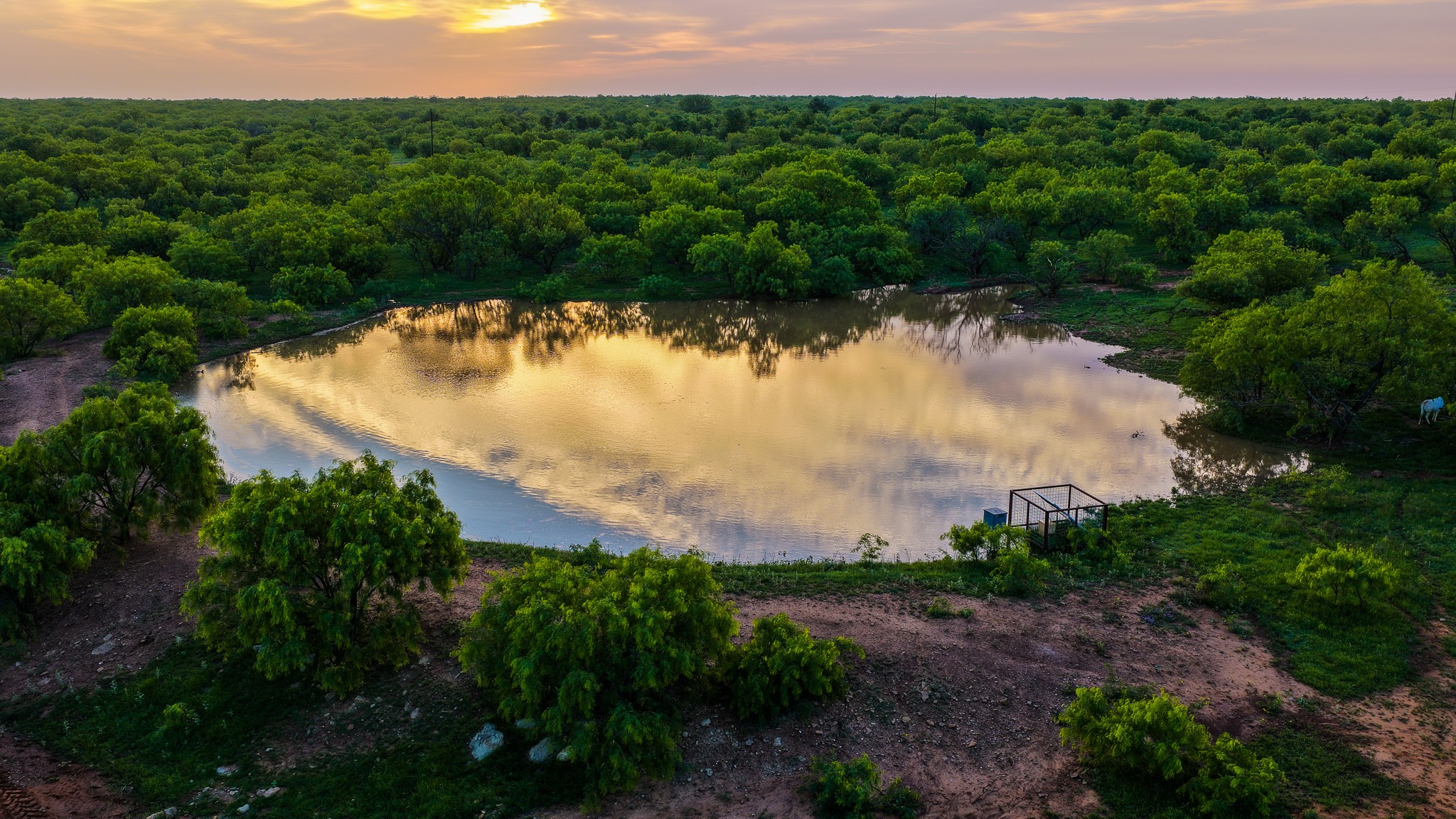 10000 Fm 209 Graham TX 76450