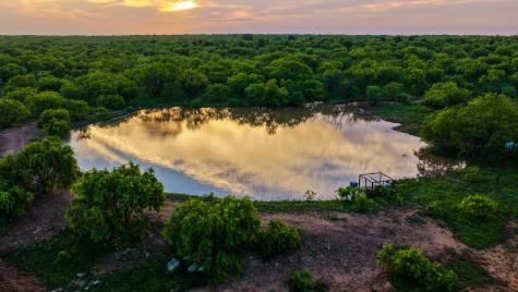 10000 Fm 209 Graham TX 76450