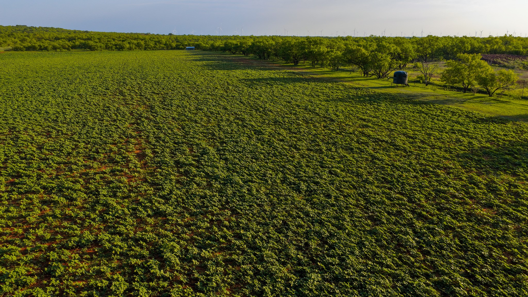 10000 Fm 209 Graham TX 76450