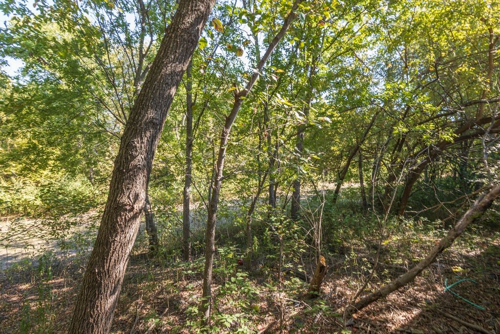 442 Sonoma Drive Rockwall TX 75087