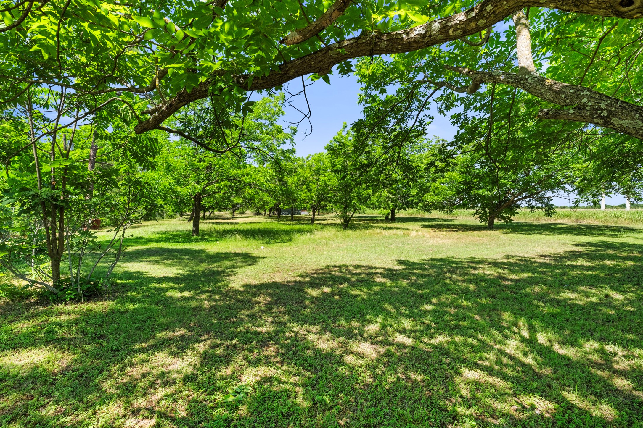815 N Wright Avenue Kerens TX 75144