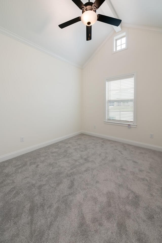 336 Camellia Drive Hewitt TX 76643
