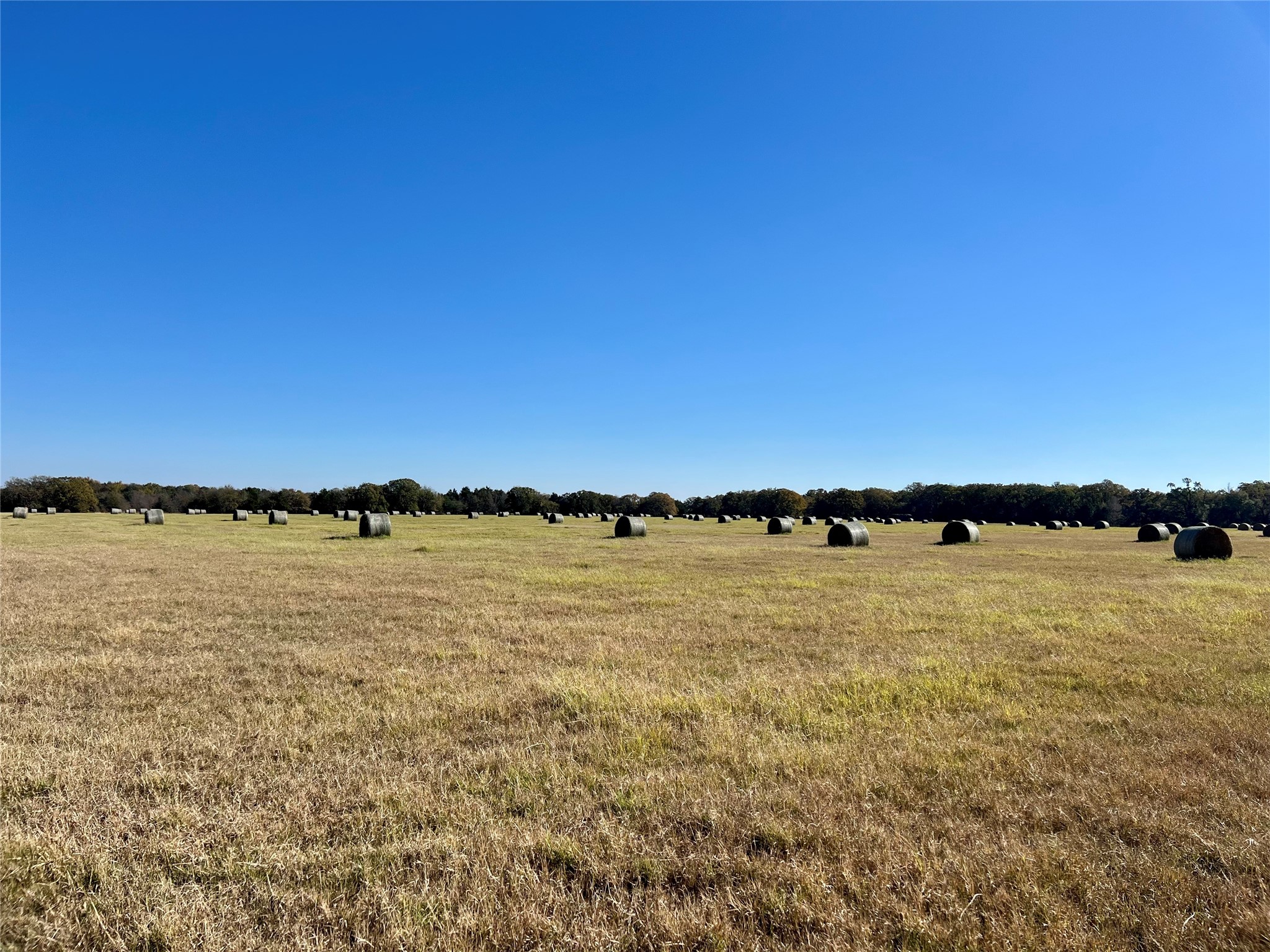 300 County Road 2100 Road Seven Points TX 75143