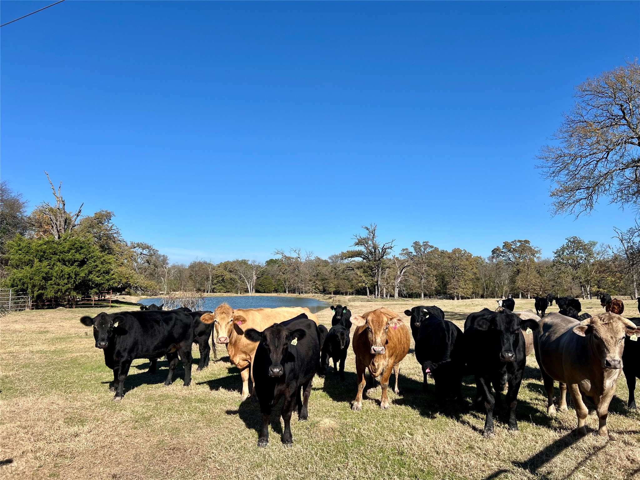 300 County Road 2100 Road Seven Points TX 75143