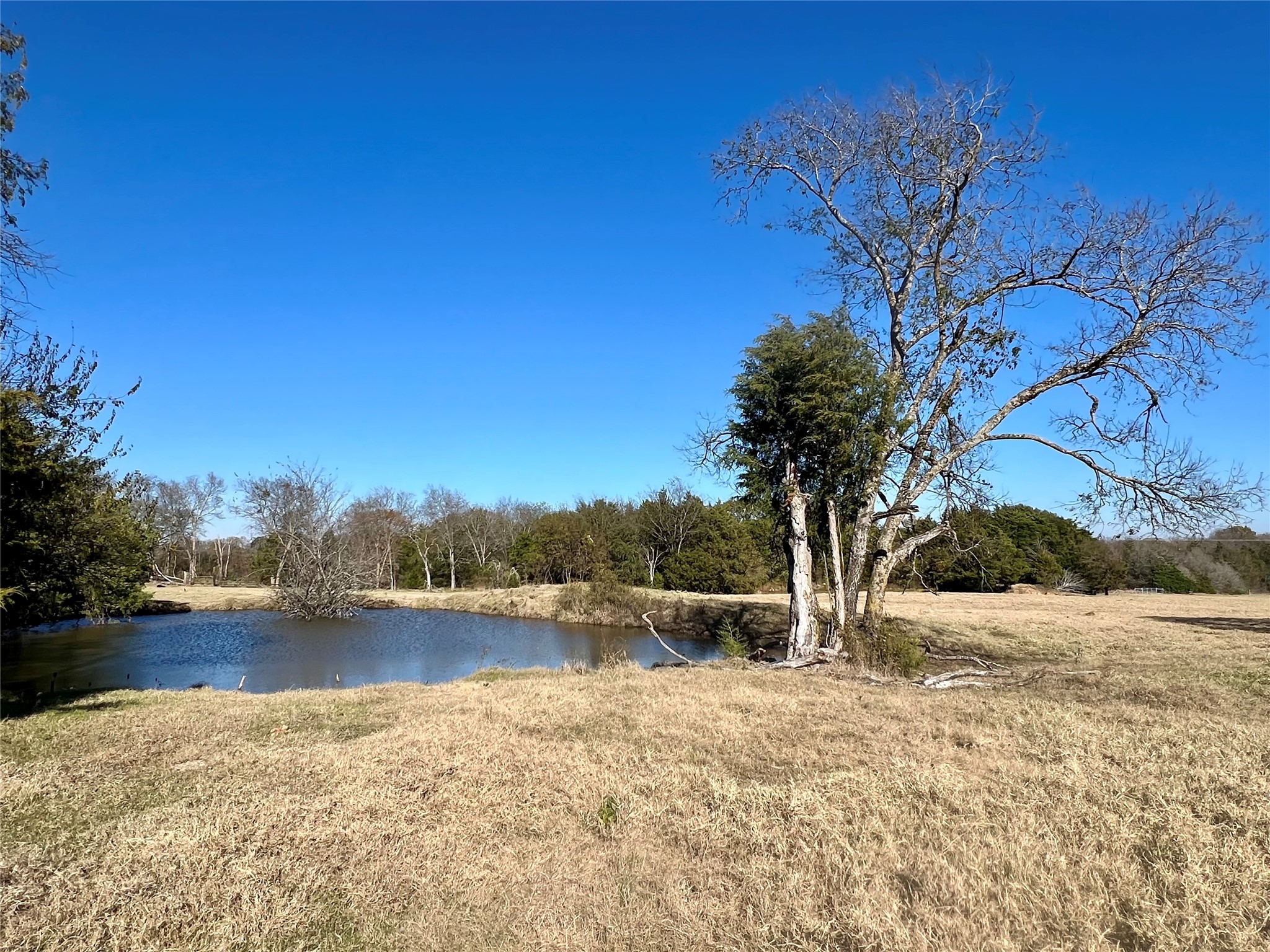 300 County Road 2100 Road Seven Points TX 75143